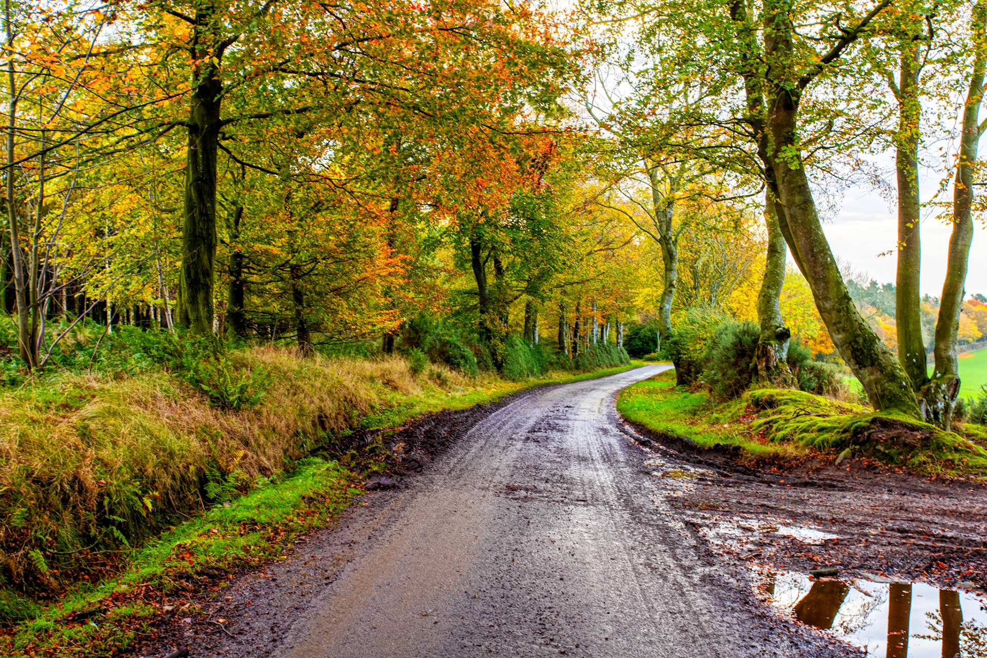 Morriston Borders 27 Oct 2022