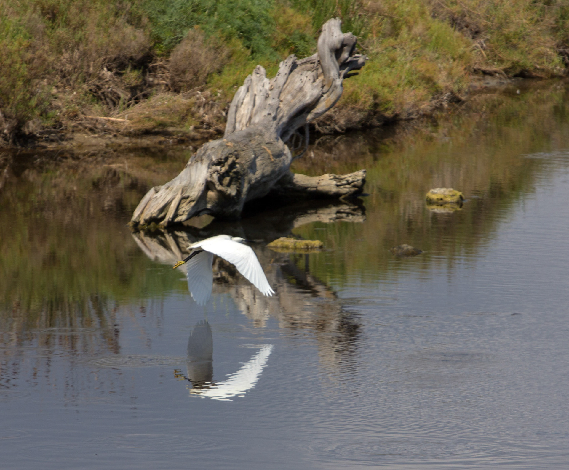 AlcudiaPlease see my other Photographs at: www.jamespdeans.co.uk