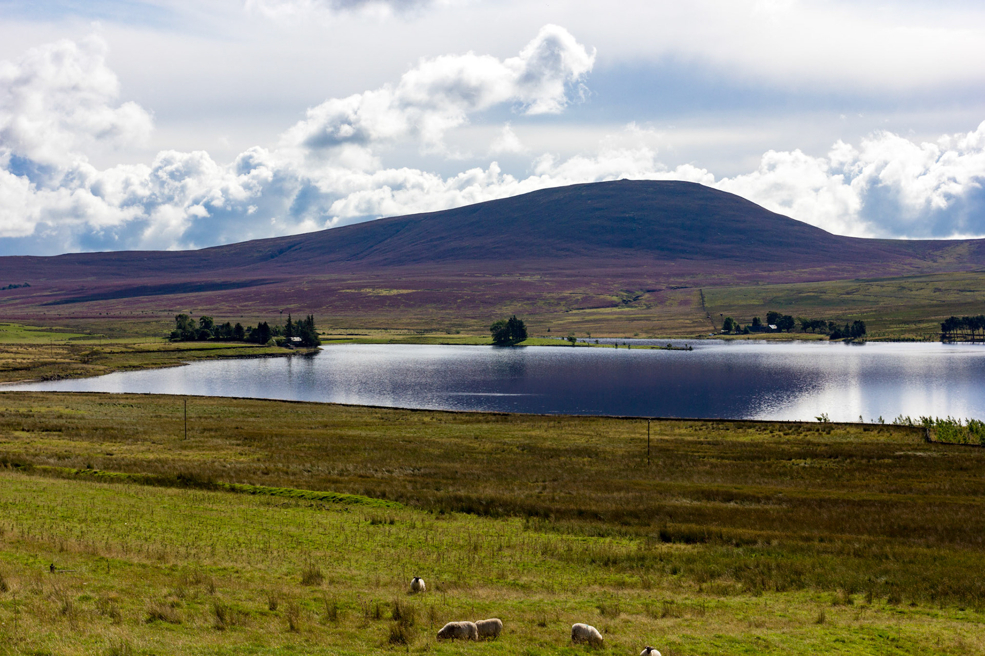 East Cairn Hill in the Pentland Hills. The water is Harperrig Reservoir. Viewed from the Lang Whang (A70) at Harperrig Reservoir. Please see my other Photographs at: http://www.jamespdeans.co.uk