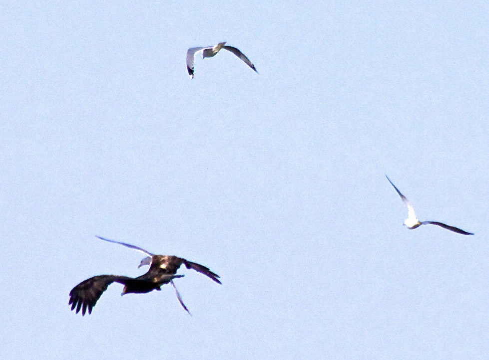 BenbeculaPlease see my other Photographs at: http://www.jamespdeans.co.uk/