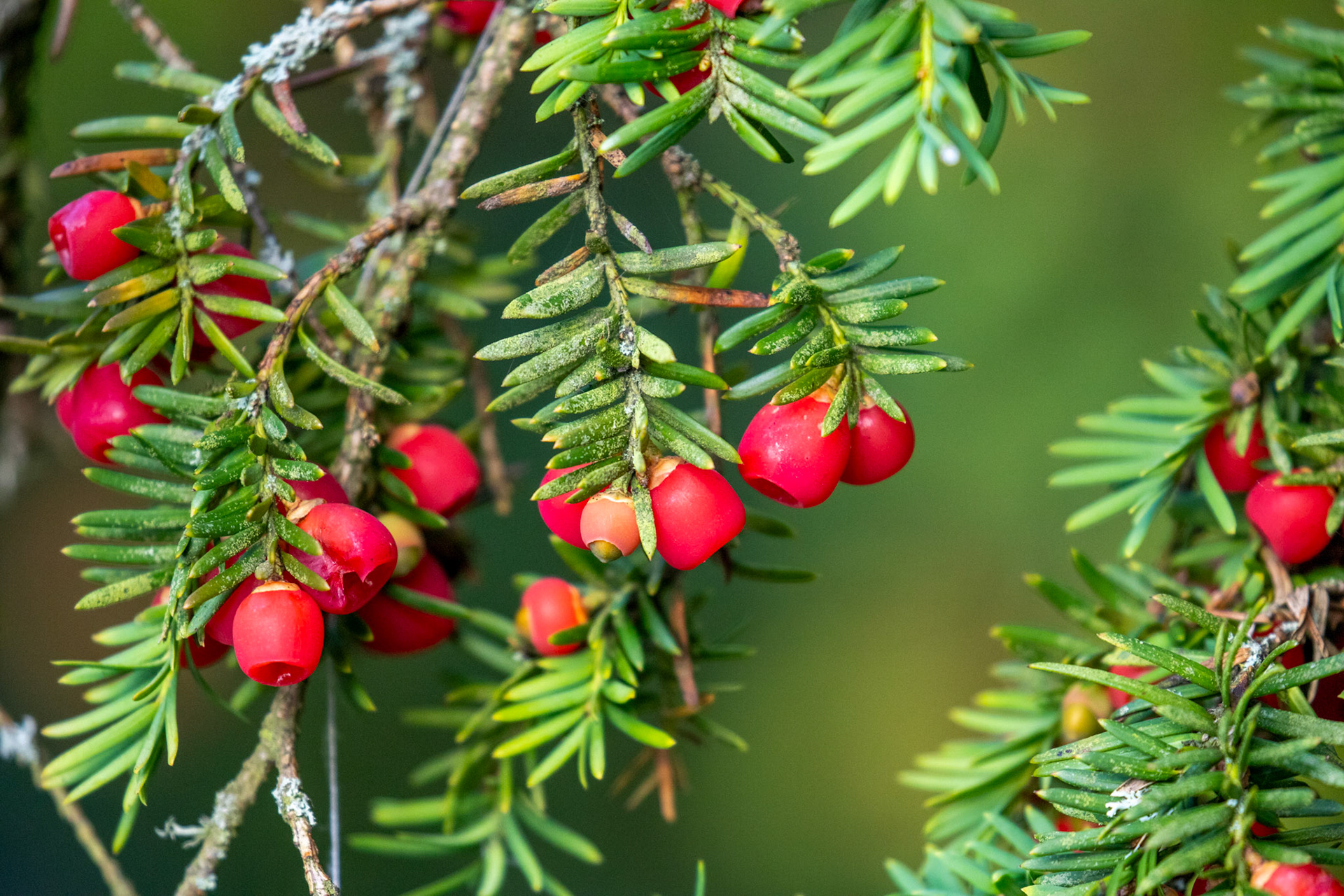 Polkemmet Country Park 10 October 2024
