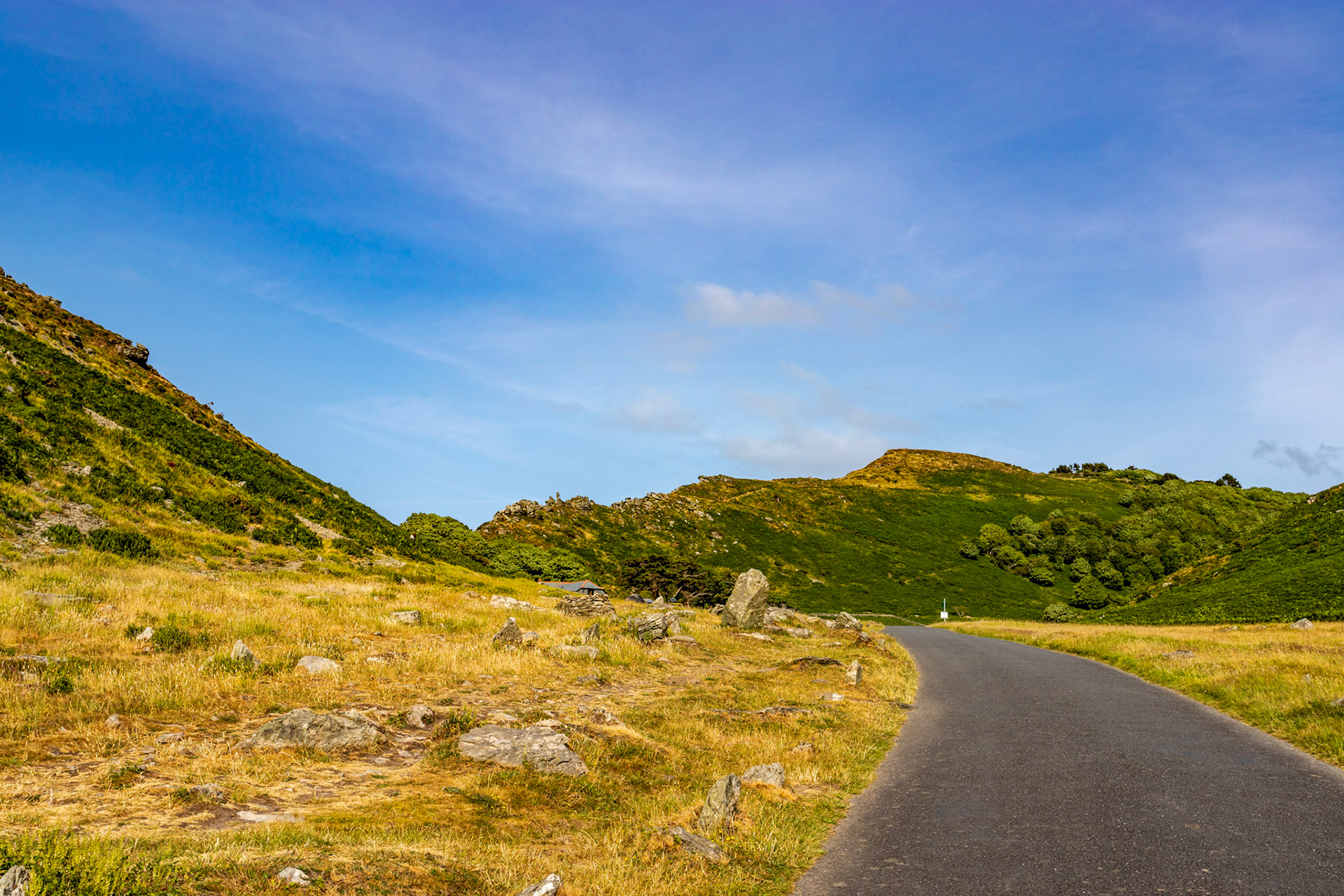 Valley of the Rocks, Lynton 26 June 2023