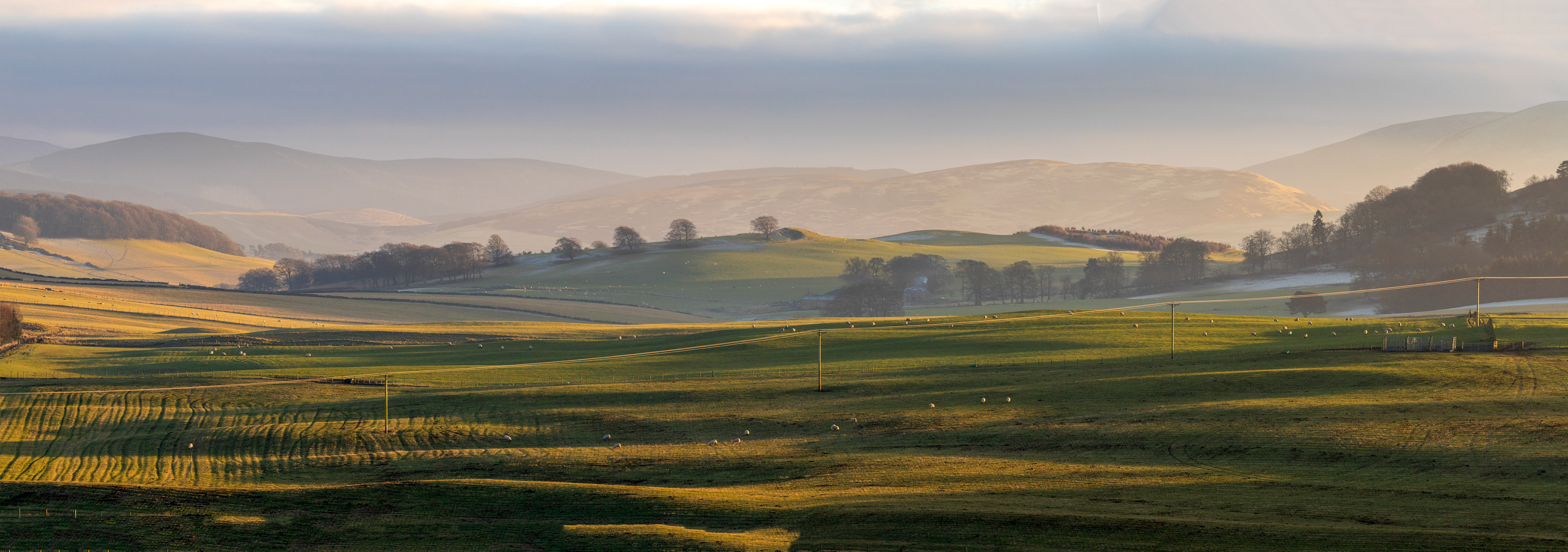 View near Elsrickle 22 January 2025