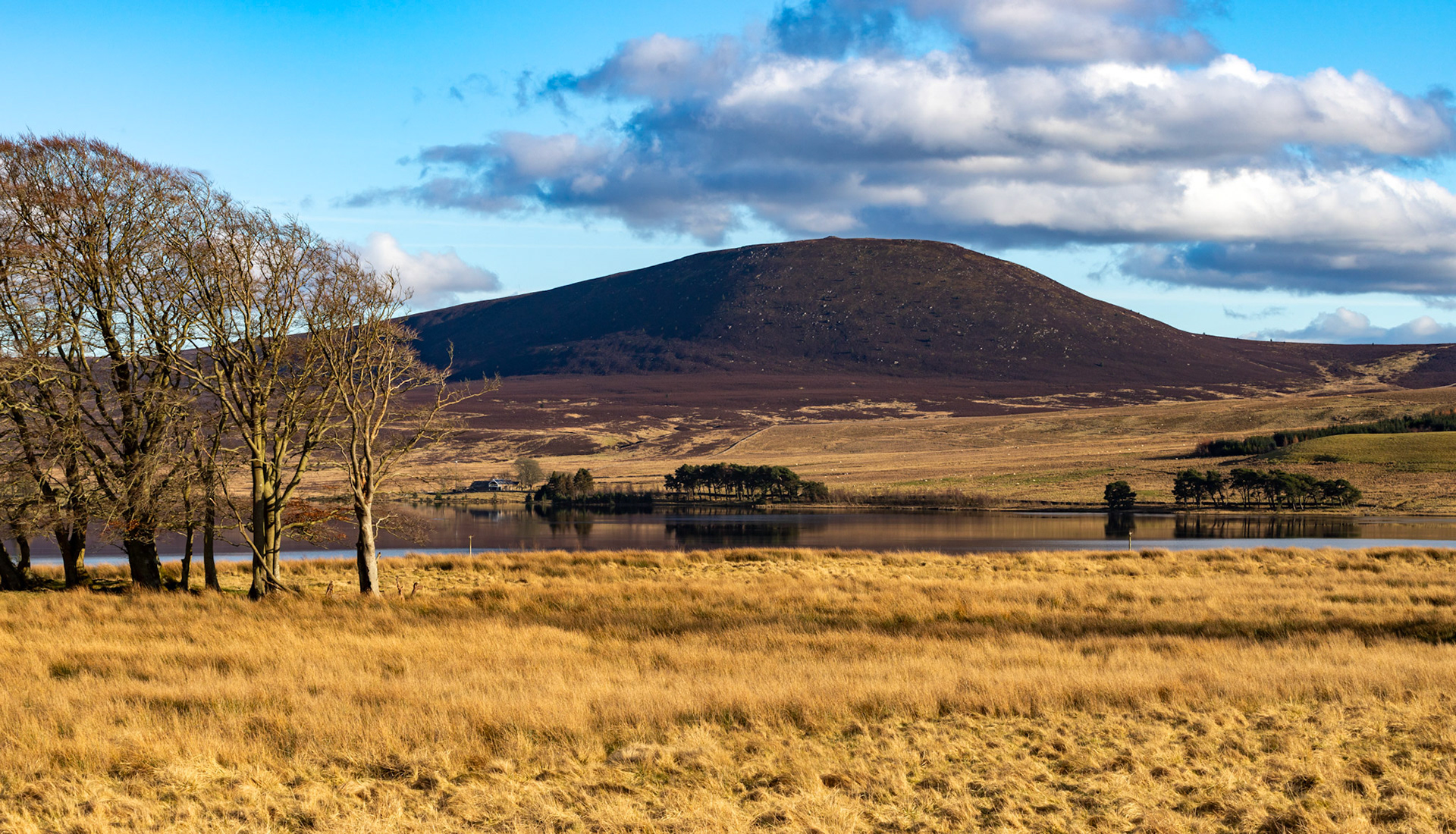 Harperrig Reservoir 26 Feb 2024