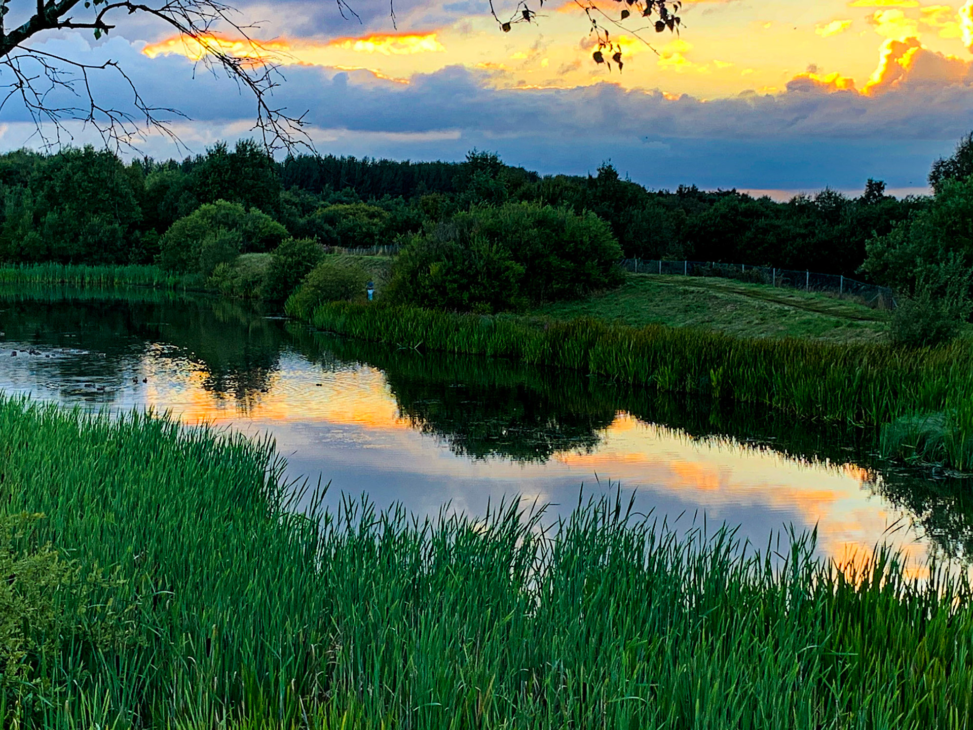 Wester Inch Ponds, Bathgate