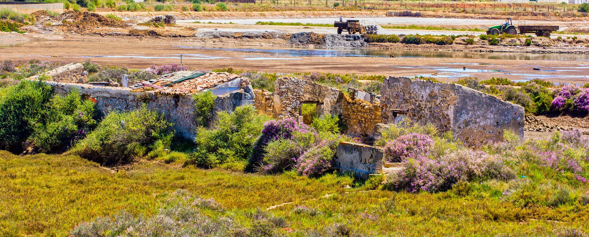 One of the many ruins around Tavira - salt pans in the background. Please see my Photographs at: http://www.jamespdeans.co.uk