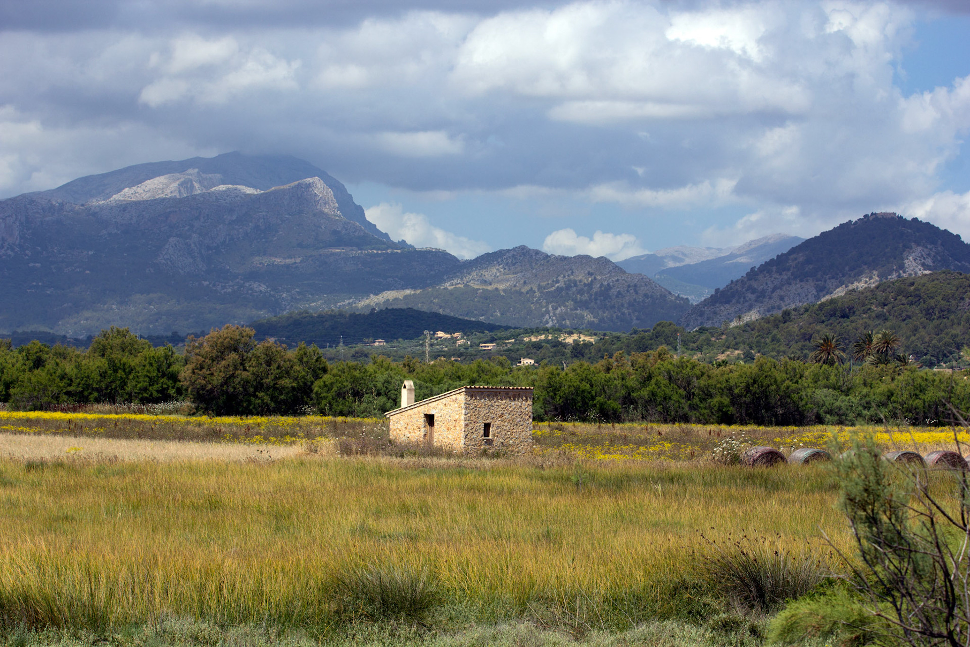 Reserva Natural de s'AlbuferetaPlease see my other Photographs at: http://www.jamespdeans.co.uk/