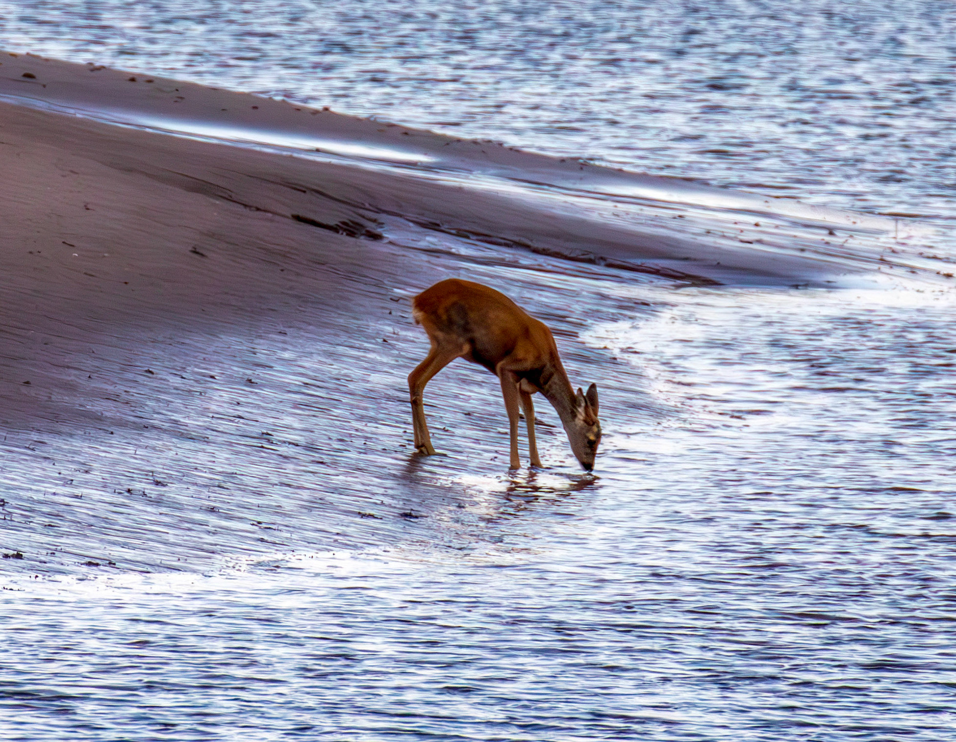 Irvine Sea Front 01 October 2024