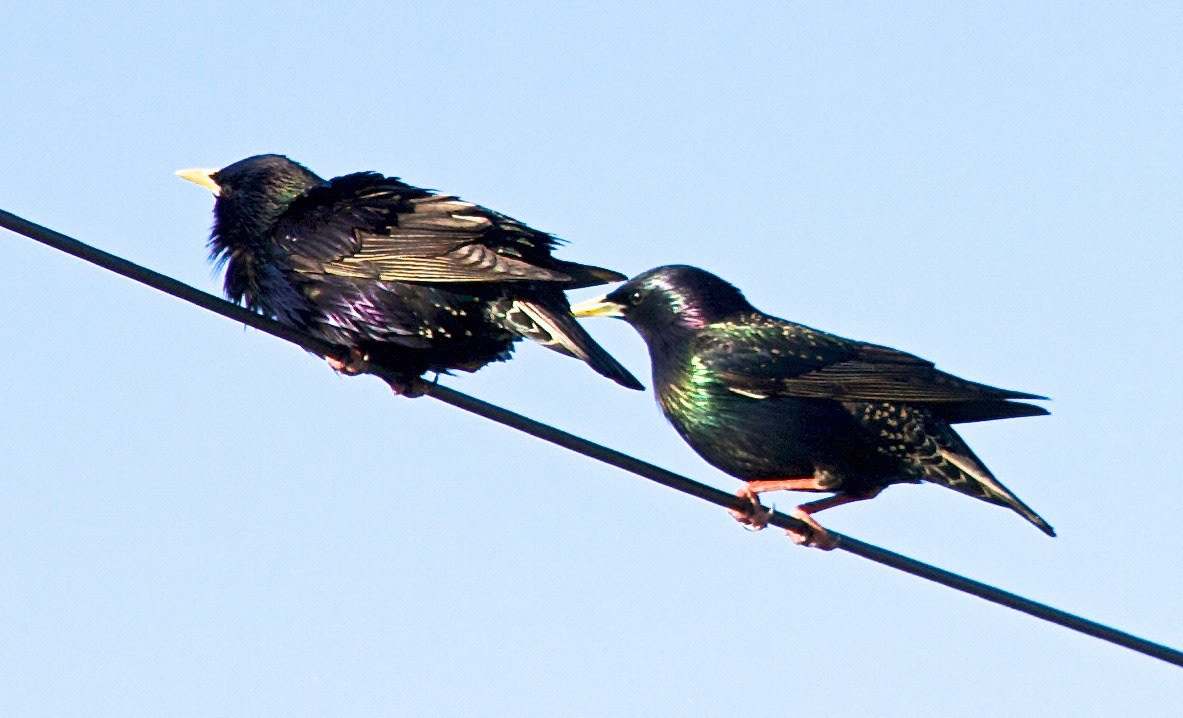 BenbeculaPlease see my other Photographs at: http://www.jamespdeans.co.uk/