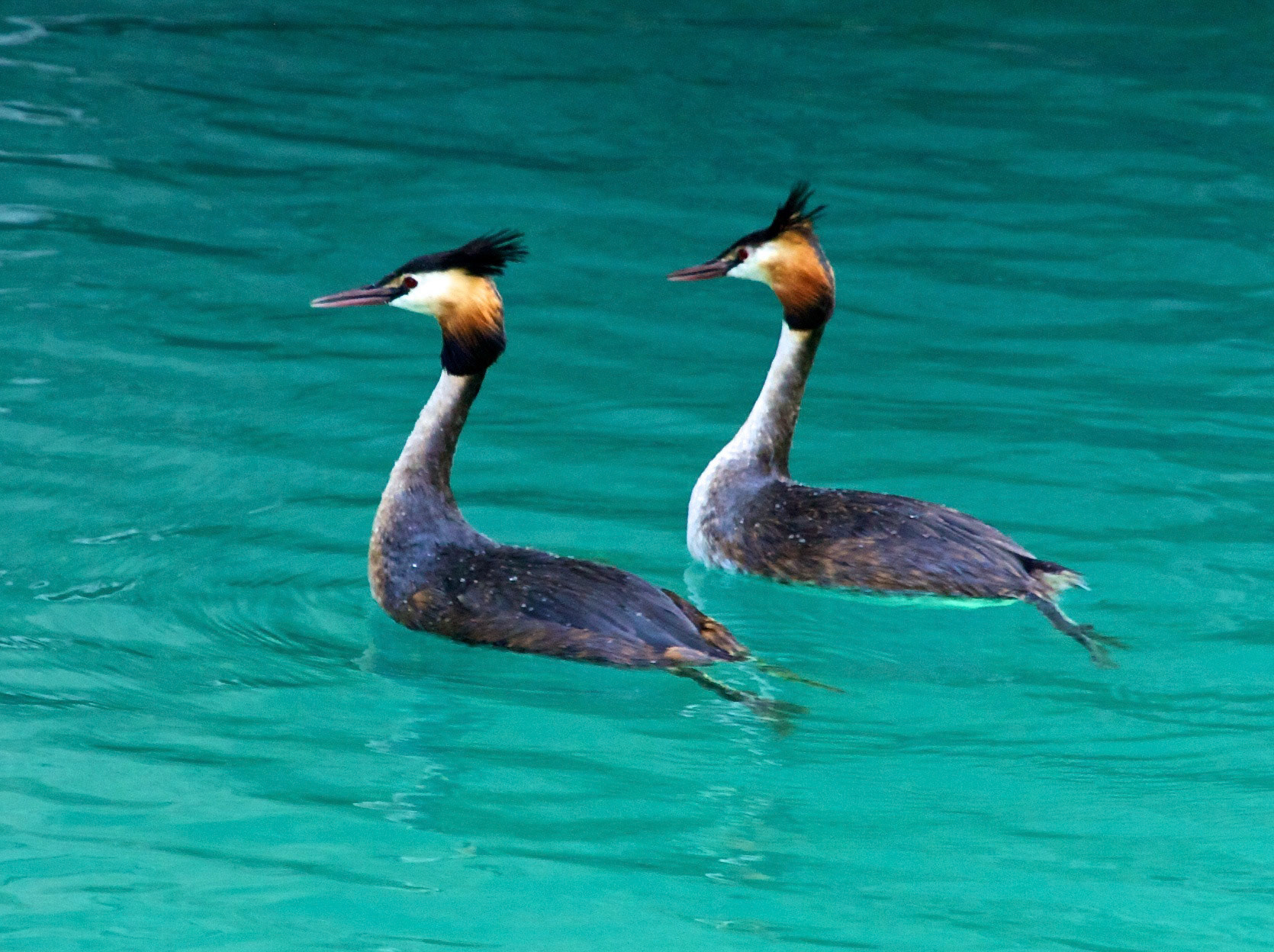 SirmionePlease see my other Photographs at: http://www.jamespdeans.co.uk/