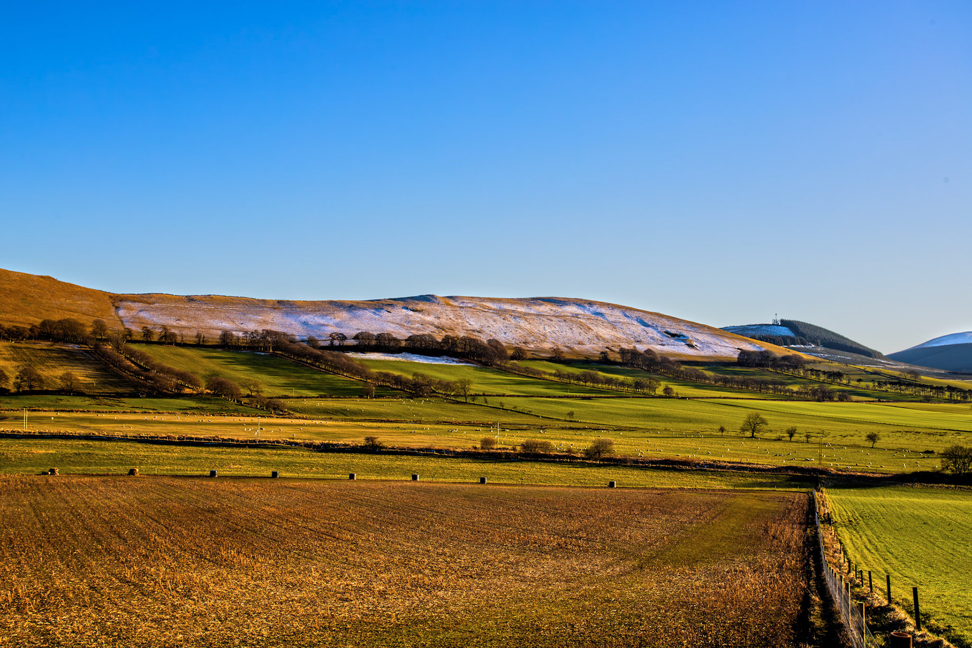 View from B7016 between Broughton and Biggar 07 March 2026