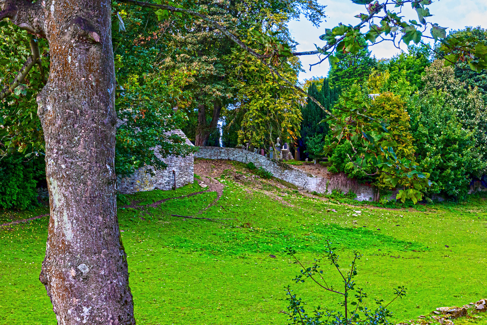 Old Chruch, Murroes, Angus 27 Sept 2022