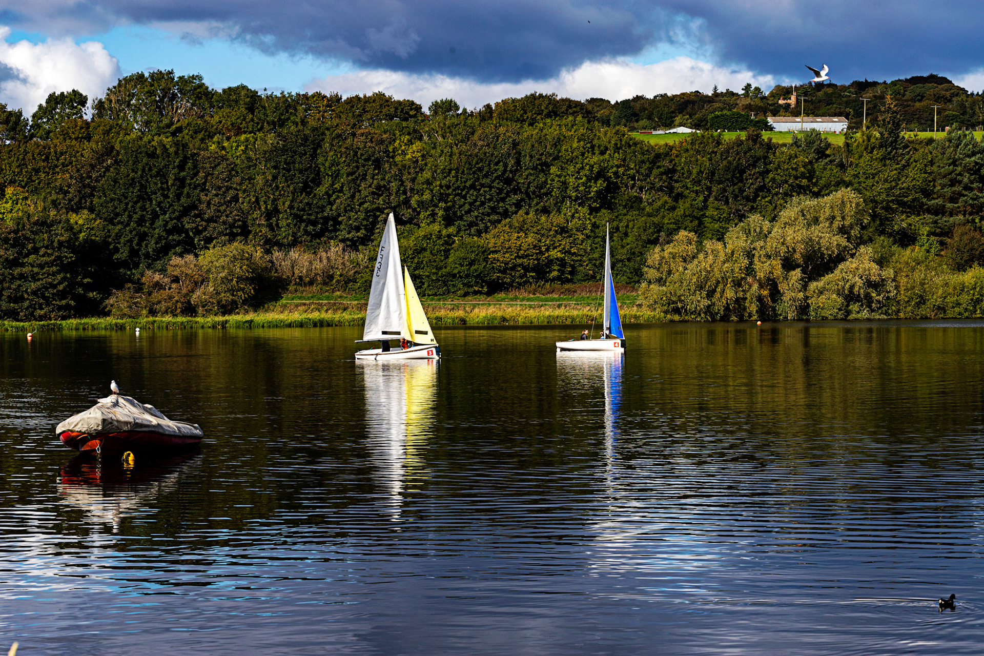 Sailing on Linlithgow Loch, with Reflections - 24 September 2022