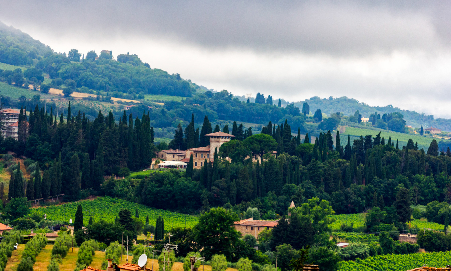 San Gimignano 24 June 2024