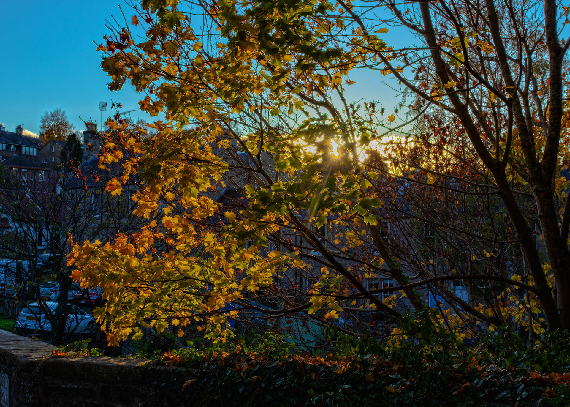 Colinton 27 October 2025