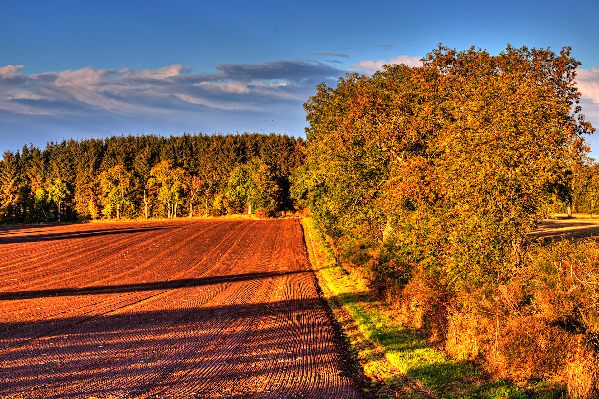 Autumn in Aberdeenshire 14 to 16 October 2022