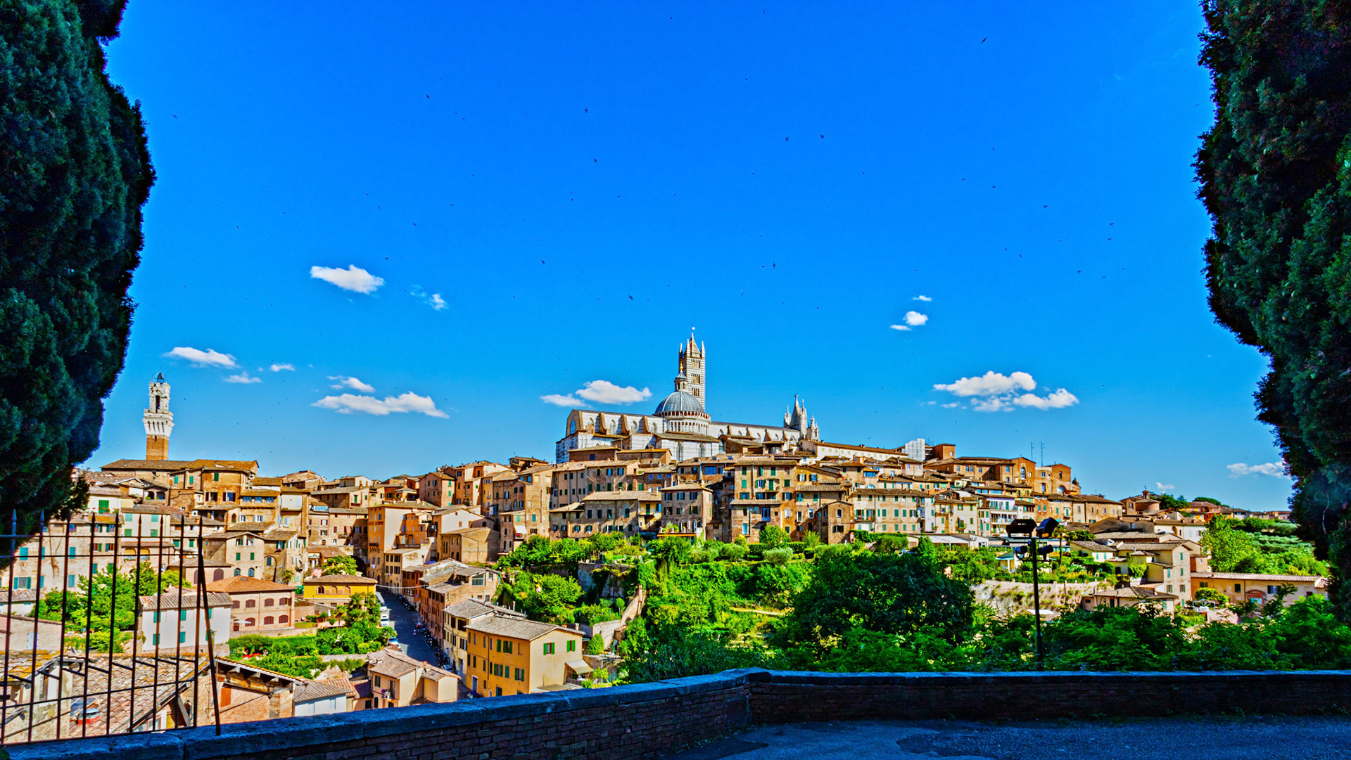 Duomo (Cathedral) on the Siena Skyline 17 June 2024