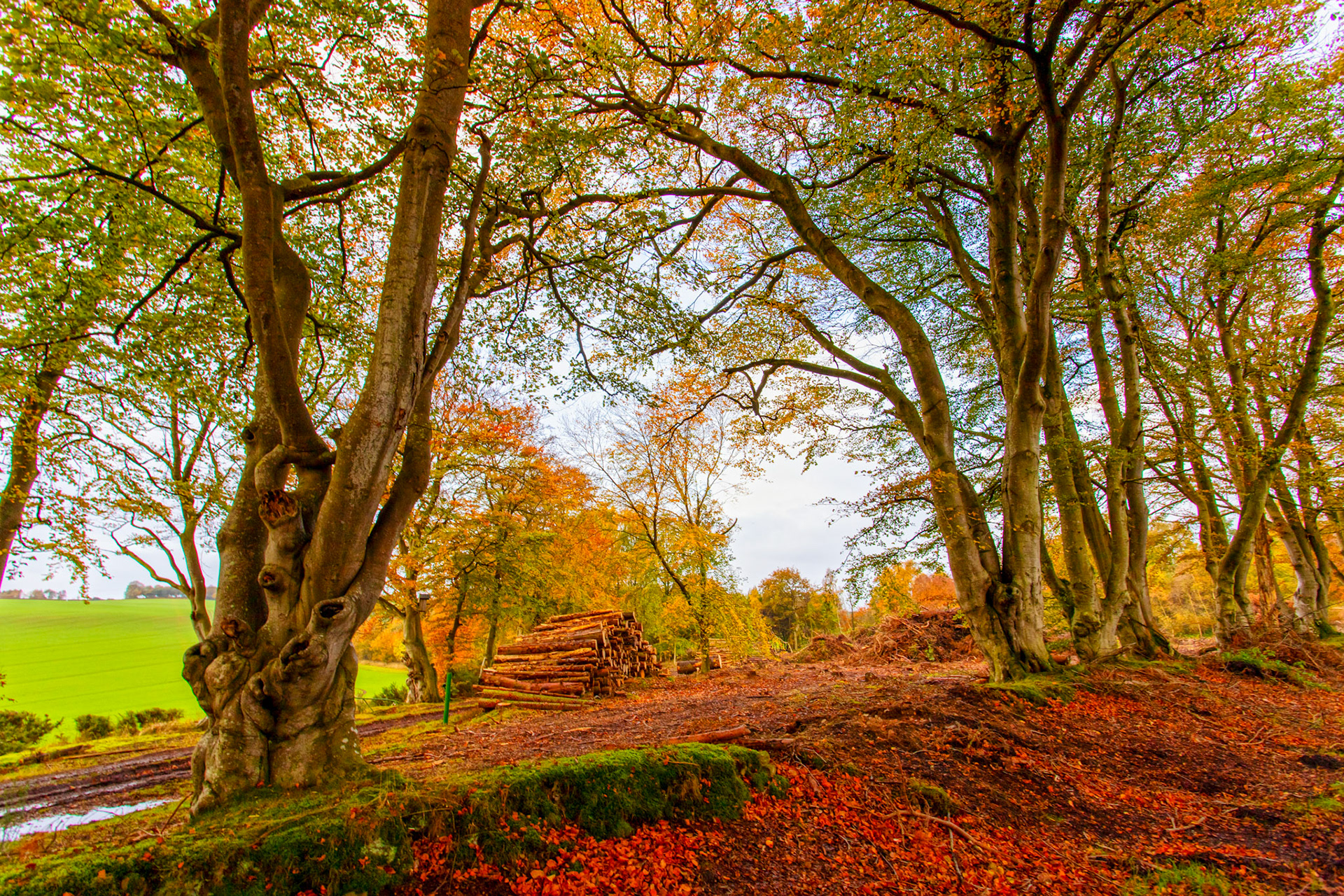 Morriston Borders 27 Oct 2022