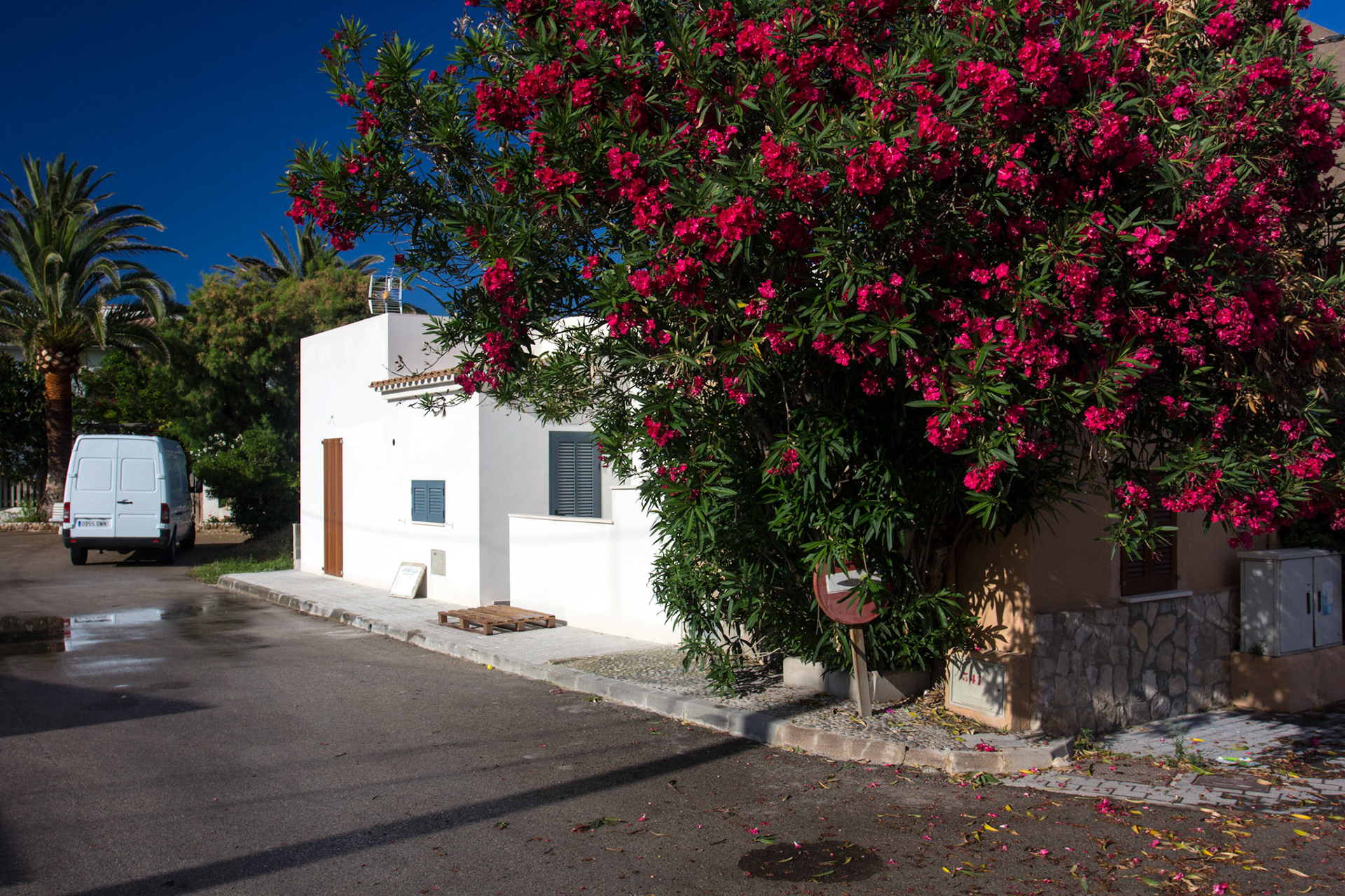 AlcudiaPlease see my other Photographs at: www.jamespdeans.co.uk