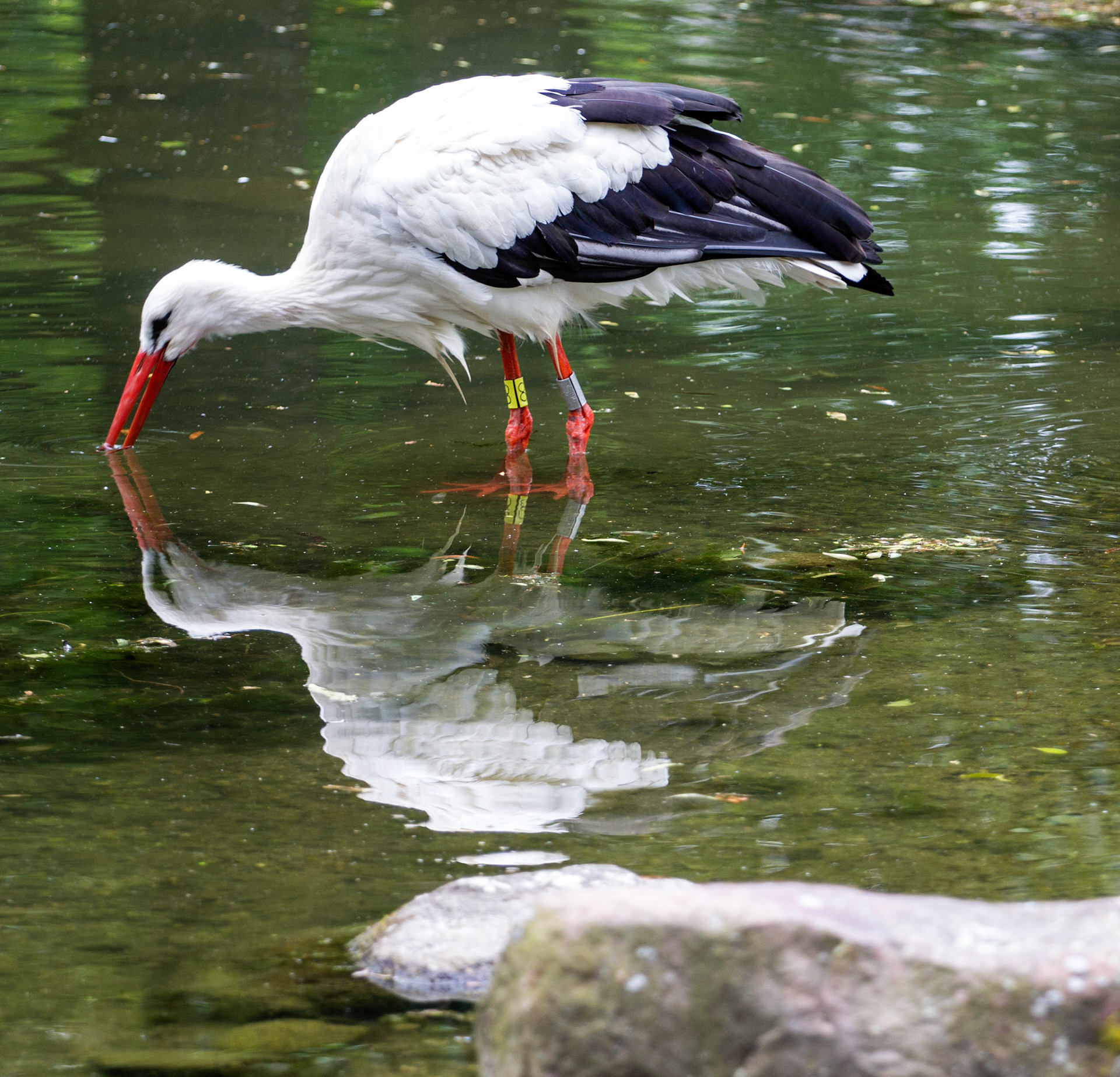 CernayPlease see my other Photographs at: http://www.jamespdeans.co.uk/