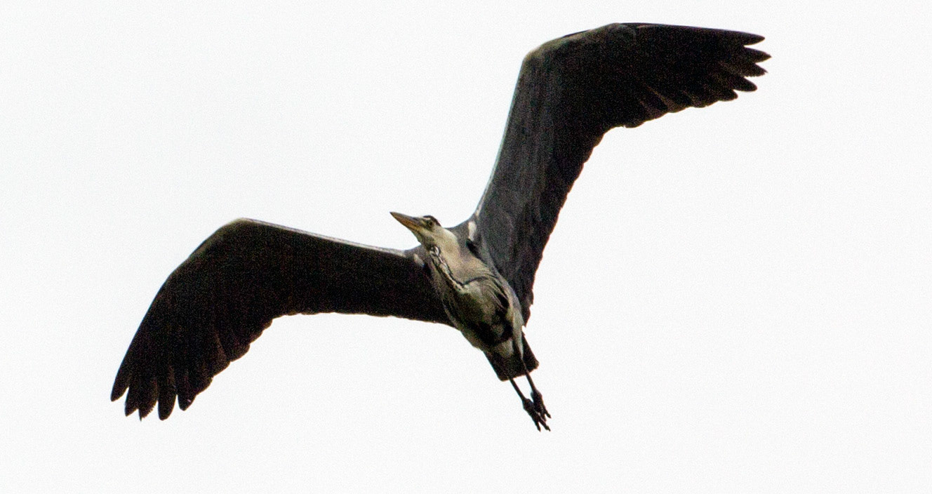 CernayPlease see my other Photographs at: http://www.jamespdeans.co.uk/