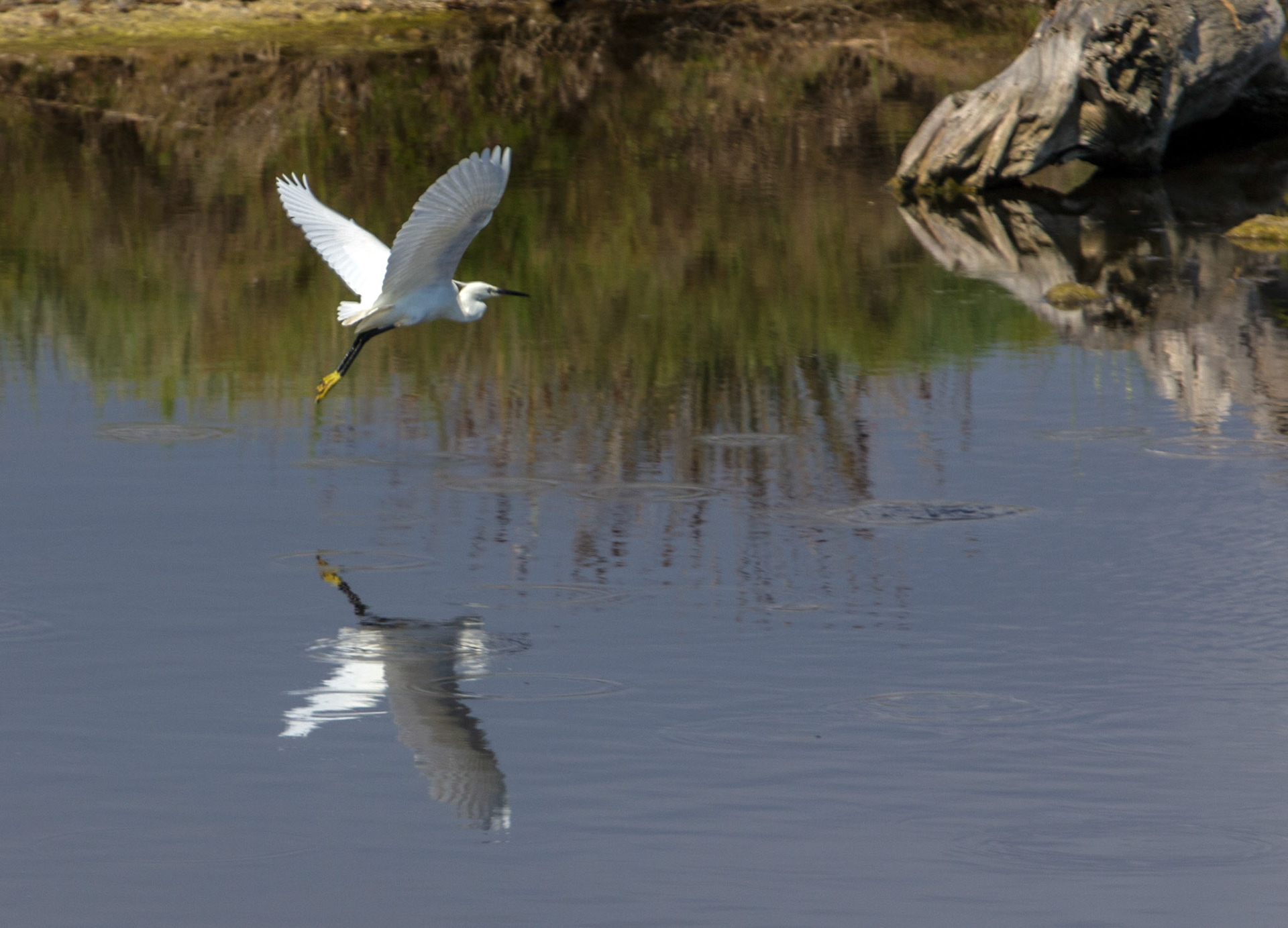 AlcudiaPlease see my other Photographs at: www.jamespdeans.co.uk