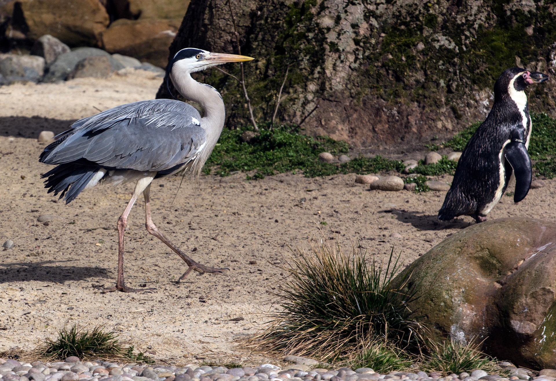 LondonPlease see my other Photographs at: http://www.jamespdeans.co.uk/