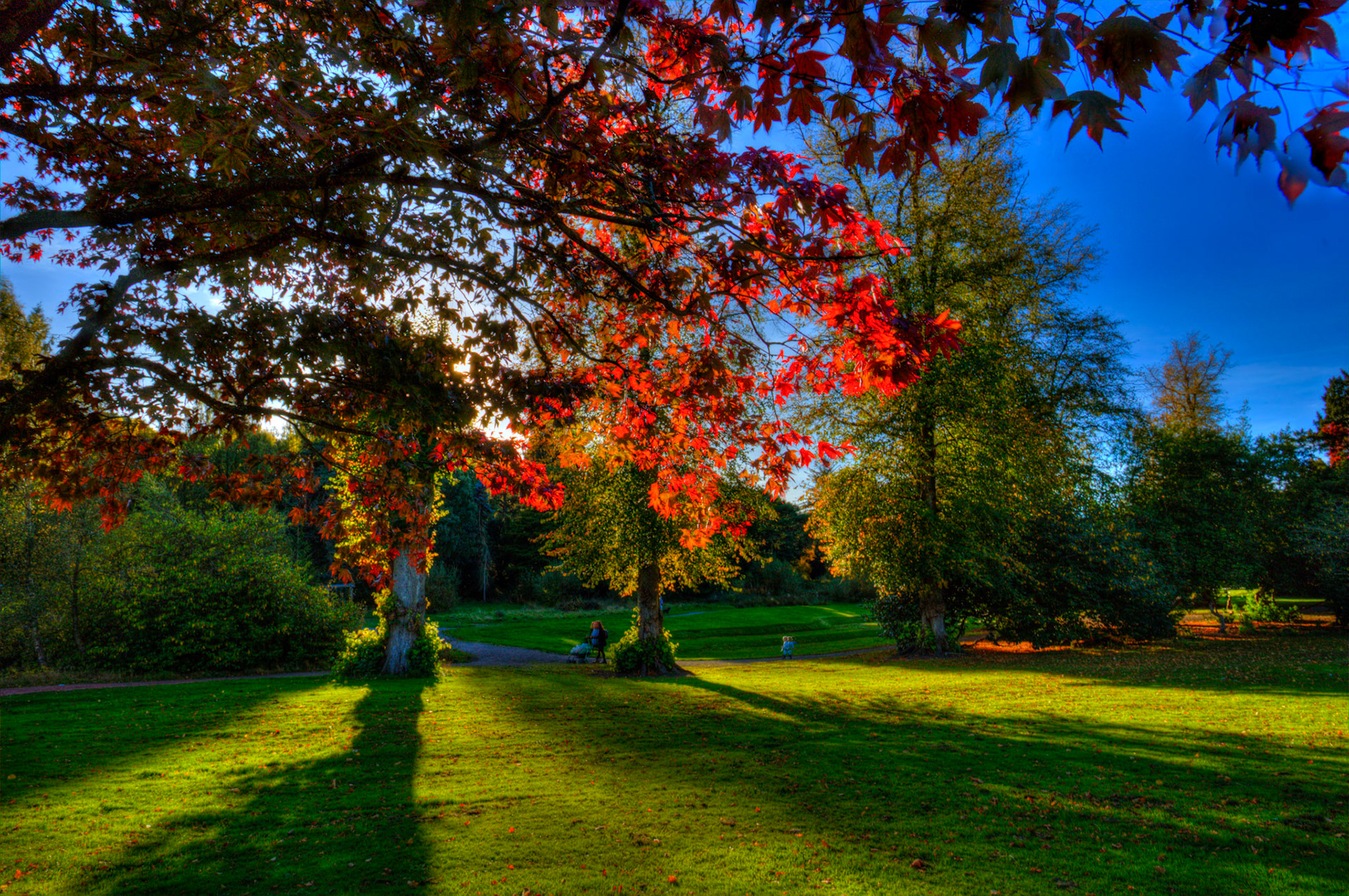 Callendar Park, Falkirk 11 October 2025