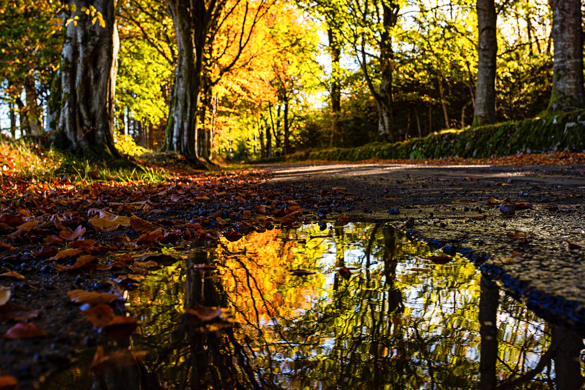 Autumn in Aberdeenshire 14 to 16 October 2022
