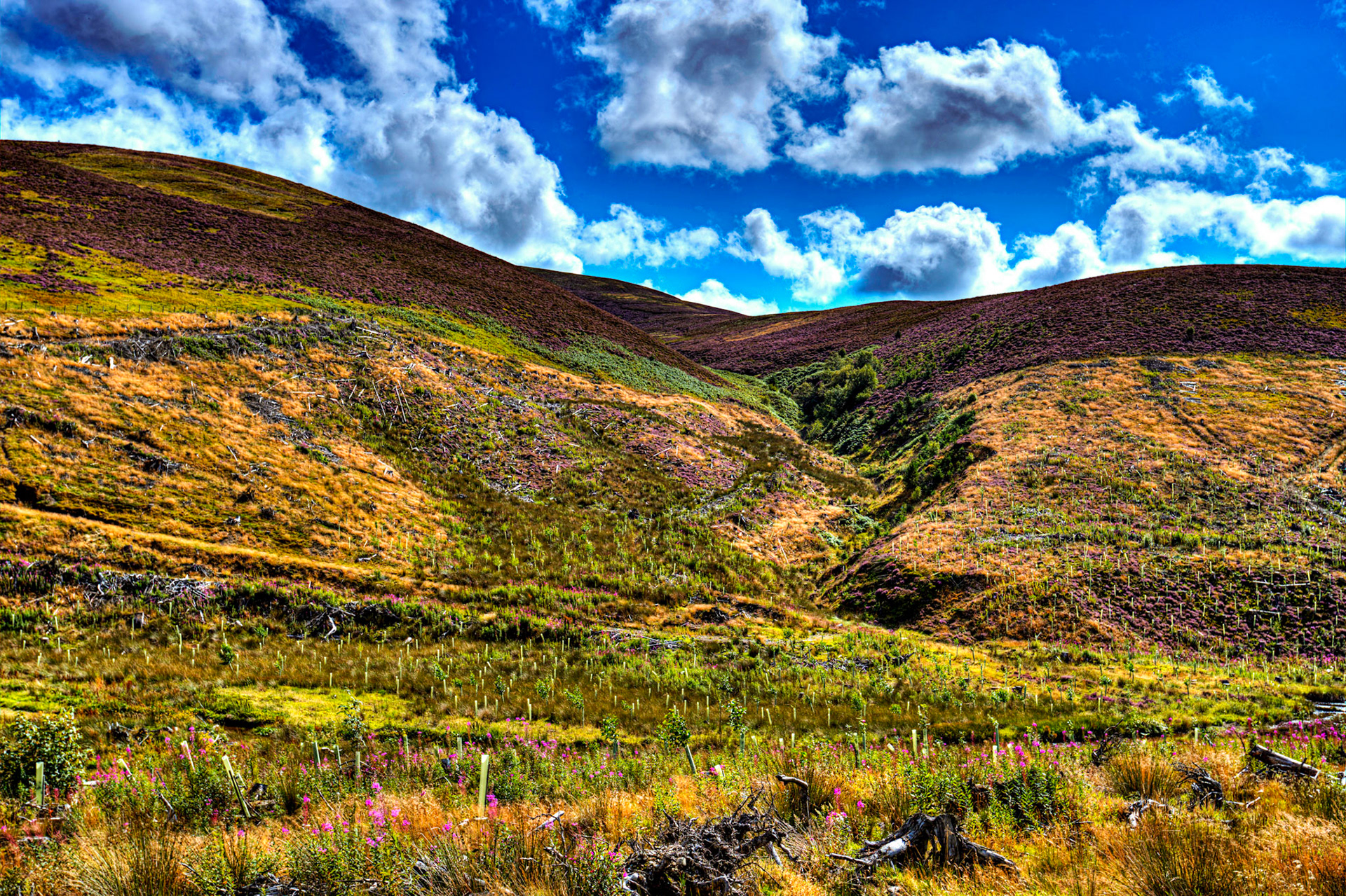 Leadhills 27 August 2022