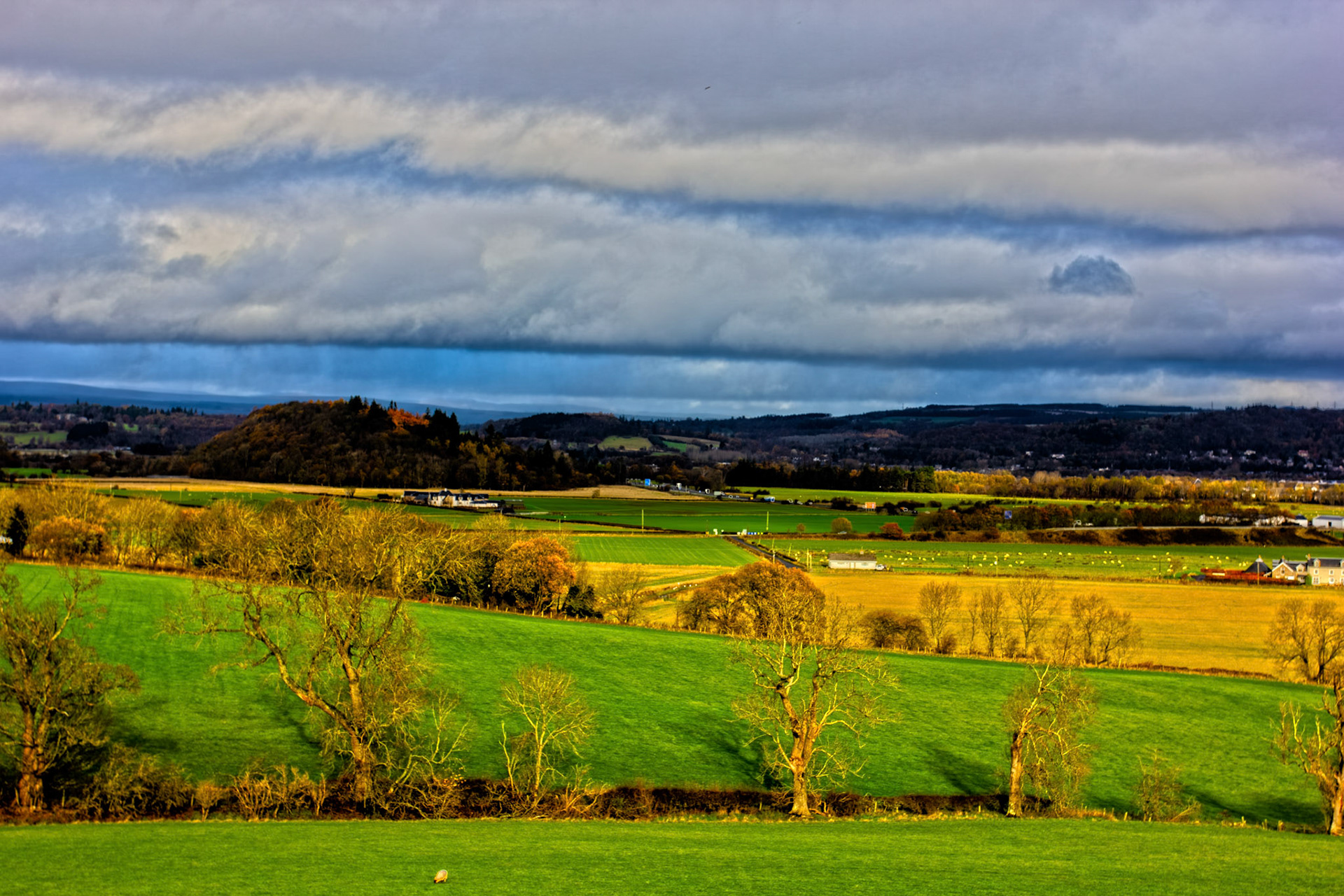 Flanders Moss 12 November 2025