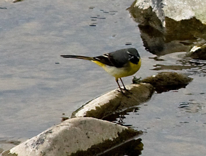 HawickPlease see my other Photographs at: http://www.jamespdeans.co.uk/