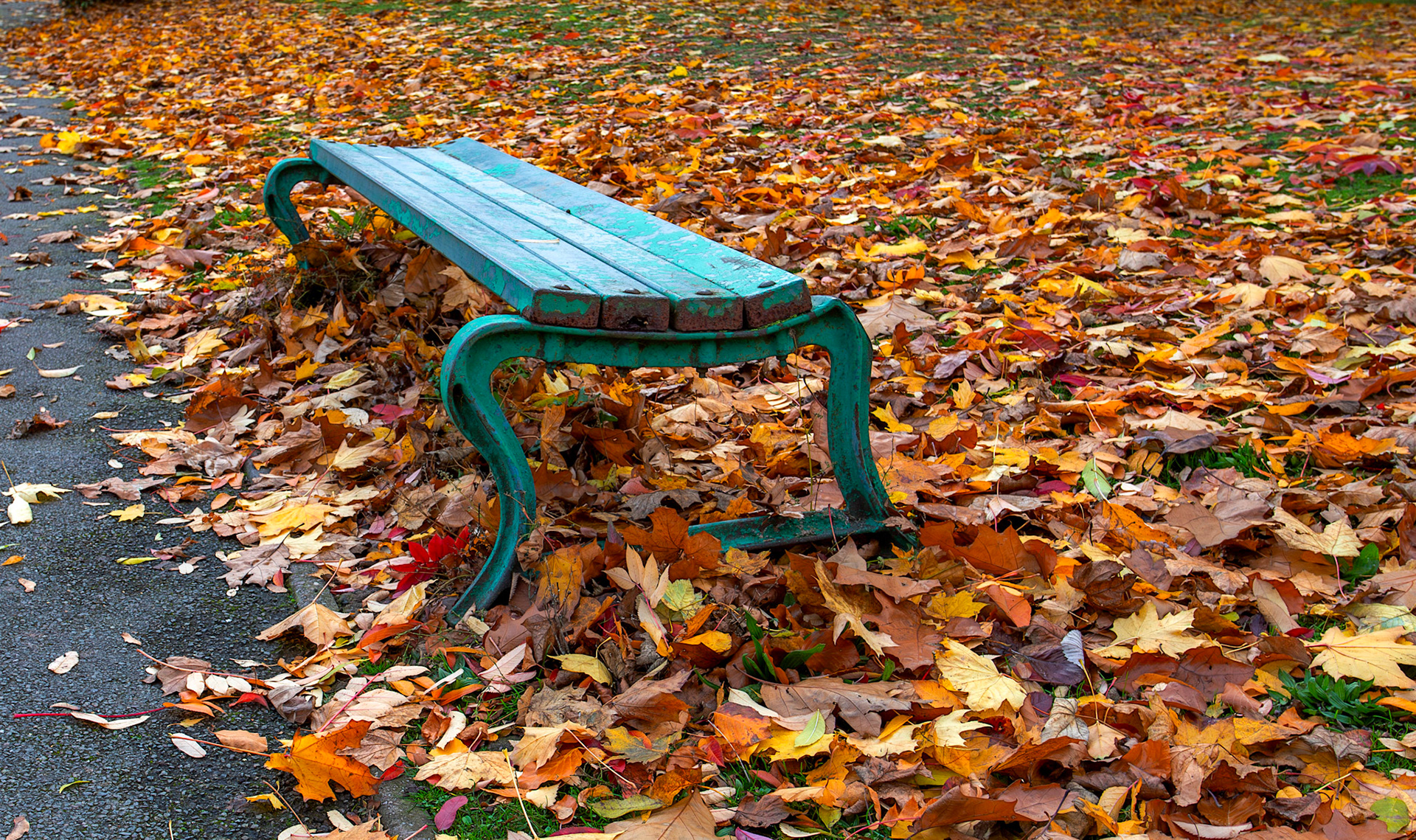 Dudley 03 November 2025