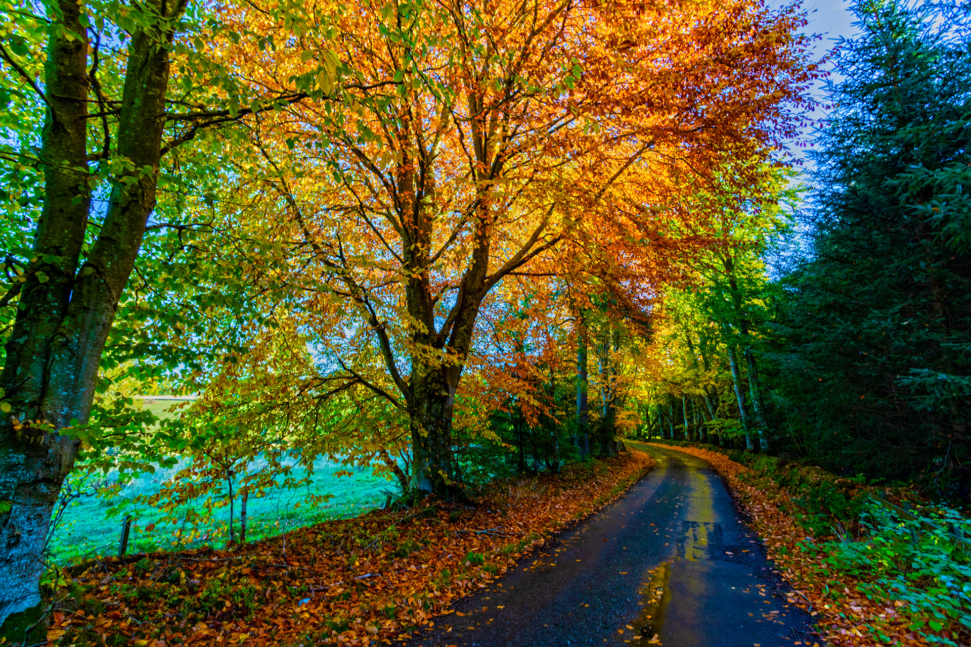 Autumn in Aberdeenshire 14 to 16 October 2022