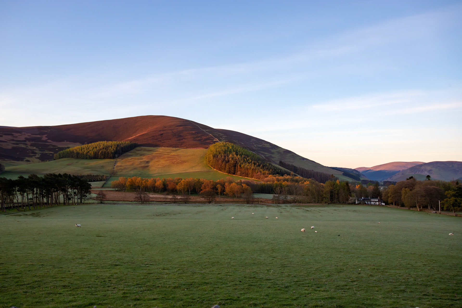 Scenery around Cademuir Hill