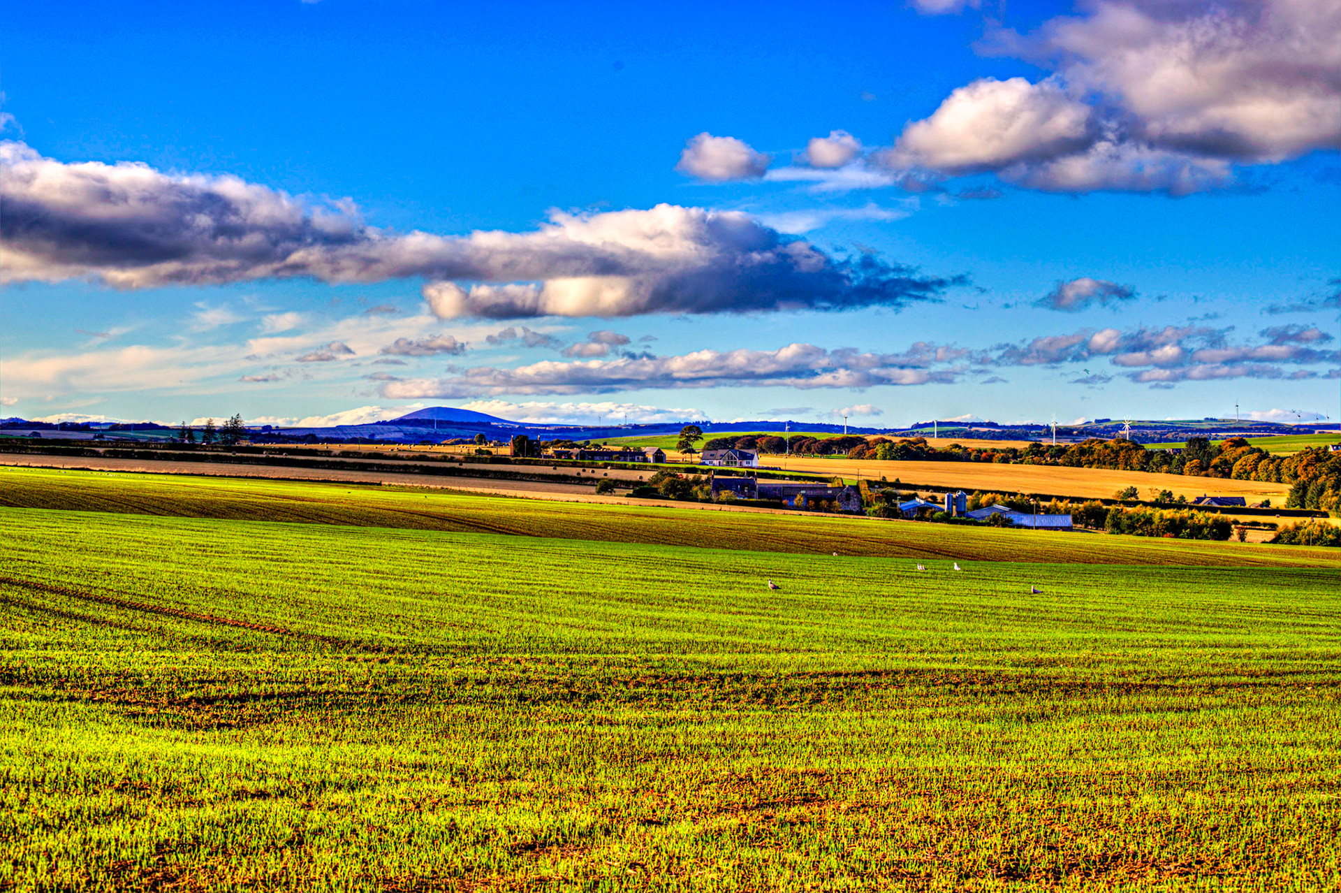 Autumn in Aberdeenshire 14 to 16 October 2022