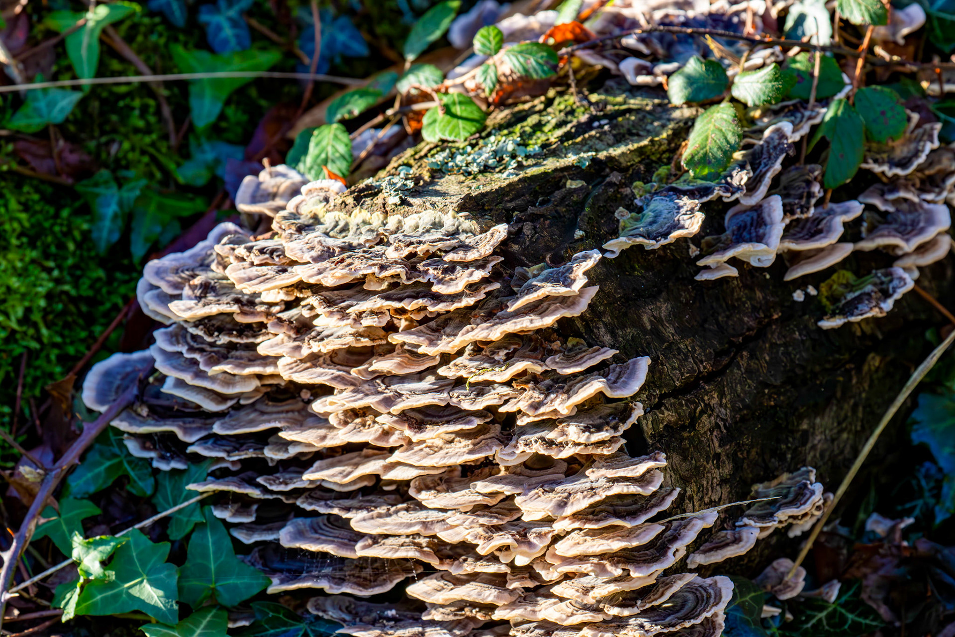 Titchfield Haven 02 January 2025