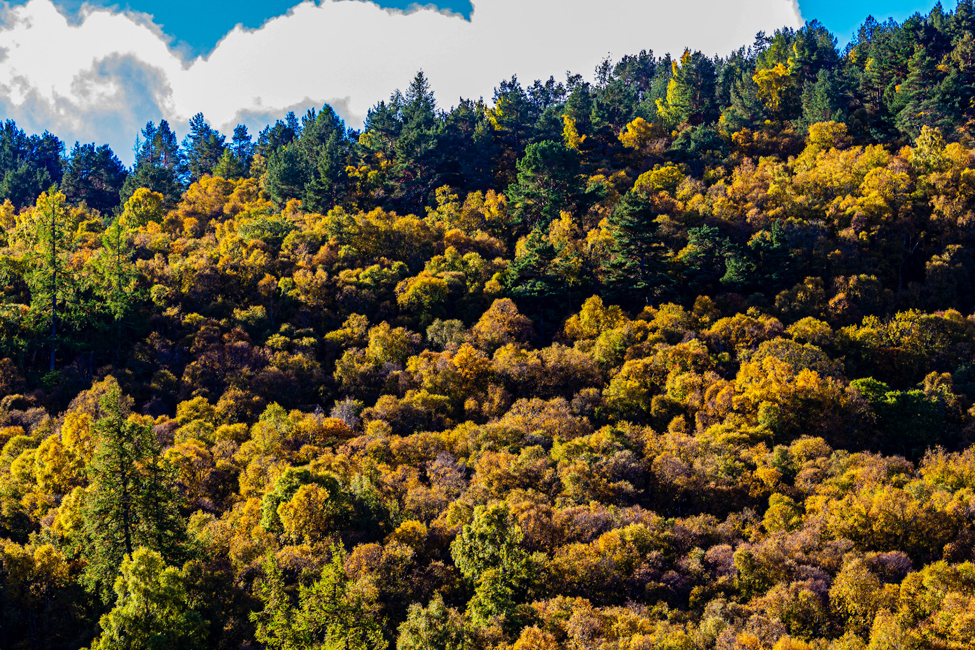 Autumn in Aberdeenshire 14 to 16 October 2022
