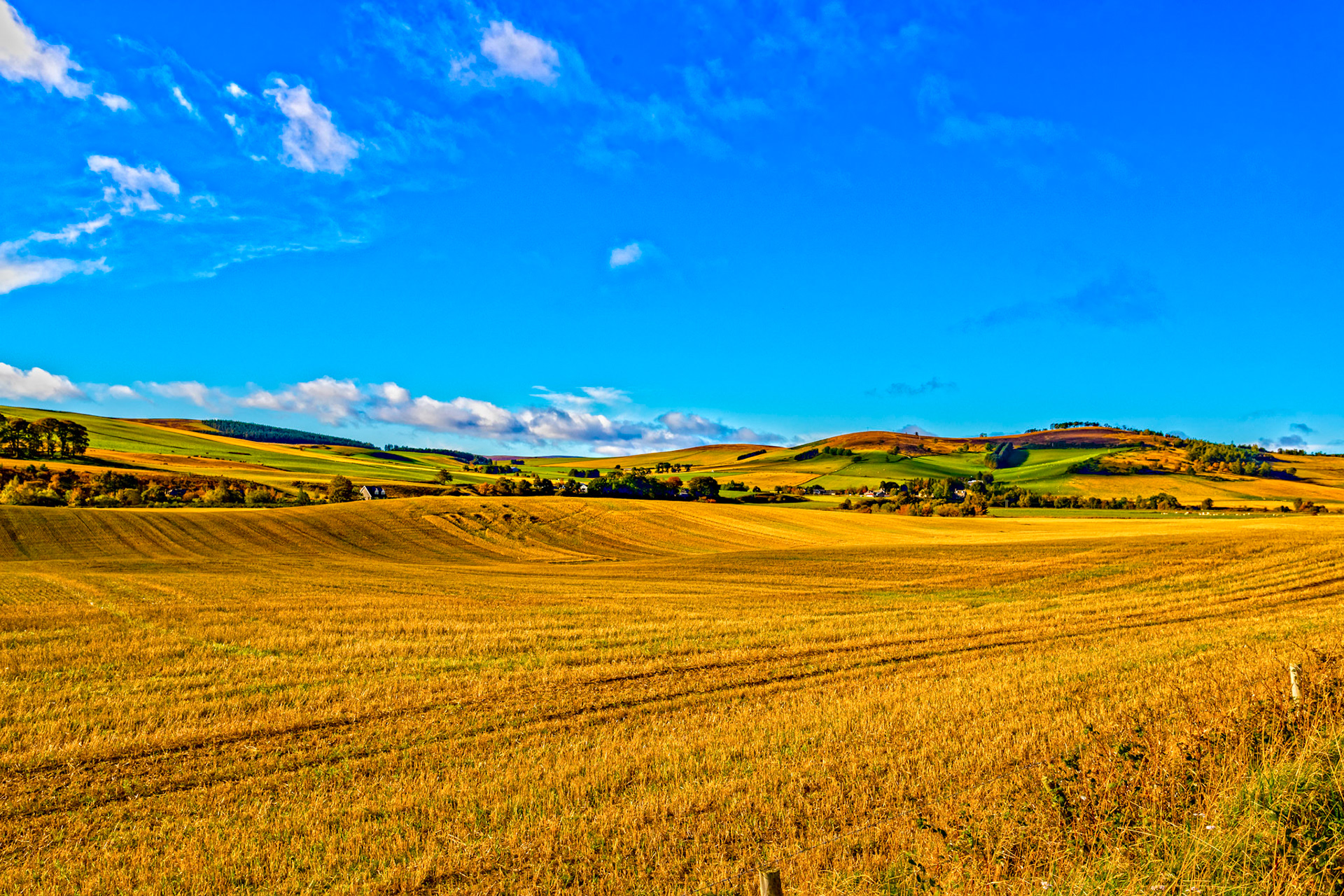 Autumn in Aberdeenshire 14 to 16 October 2022