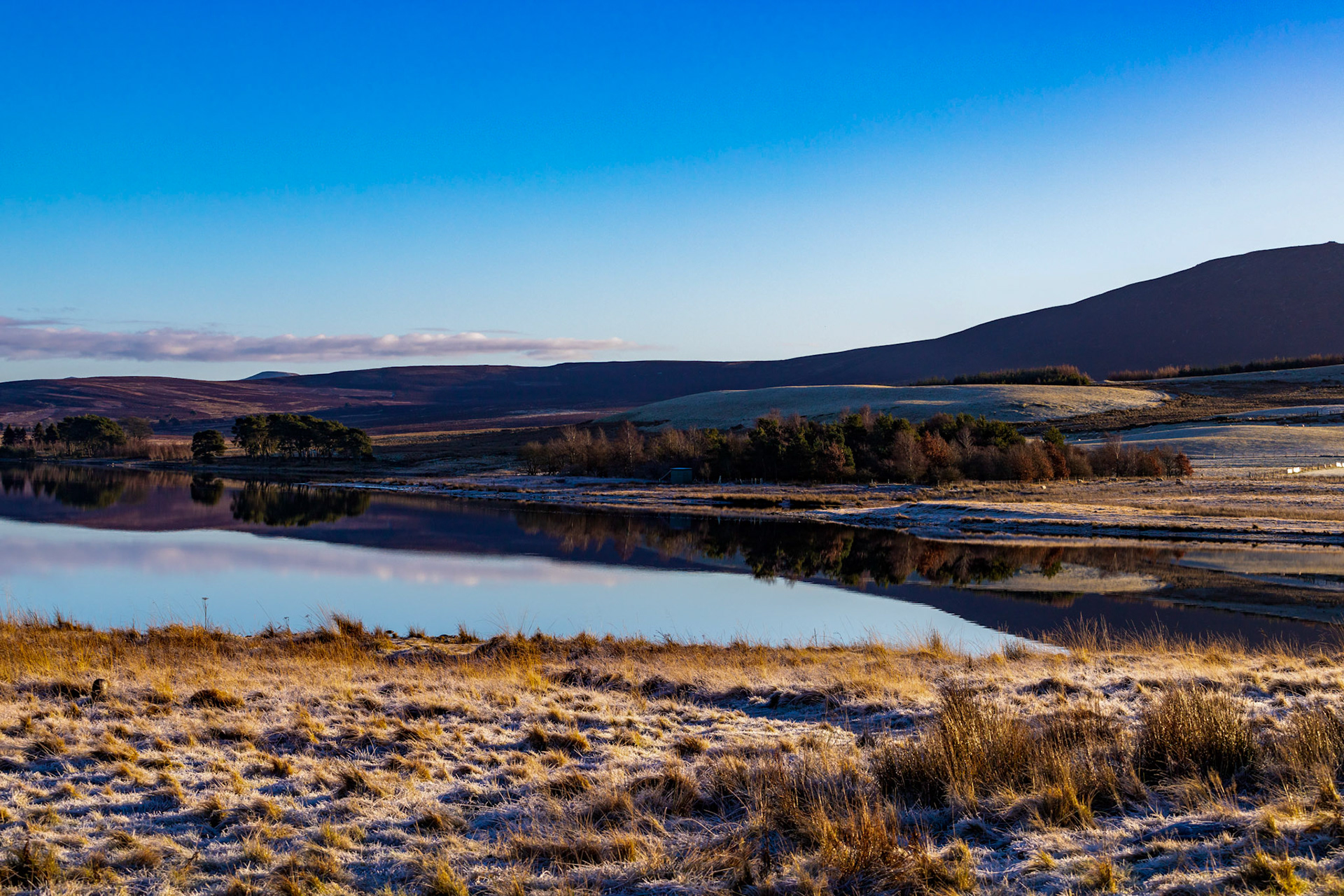 Harperrig 06 January 2024