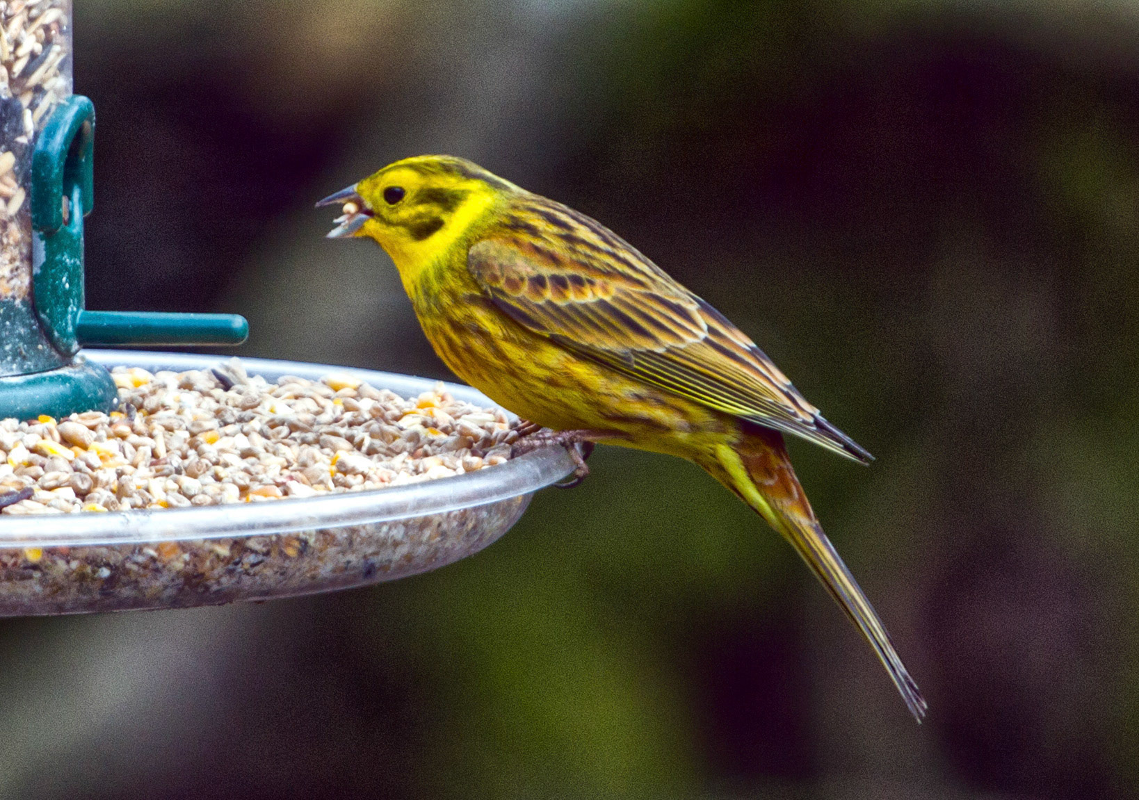 PerthshirePlease see my other Photographs at: http://www.jamespdeans.co.uk/