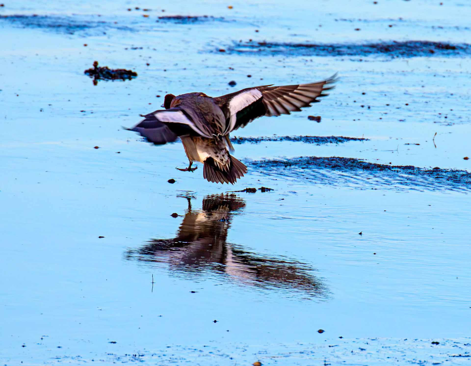 East Lothian - 05 February 2025