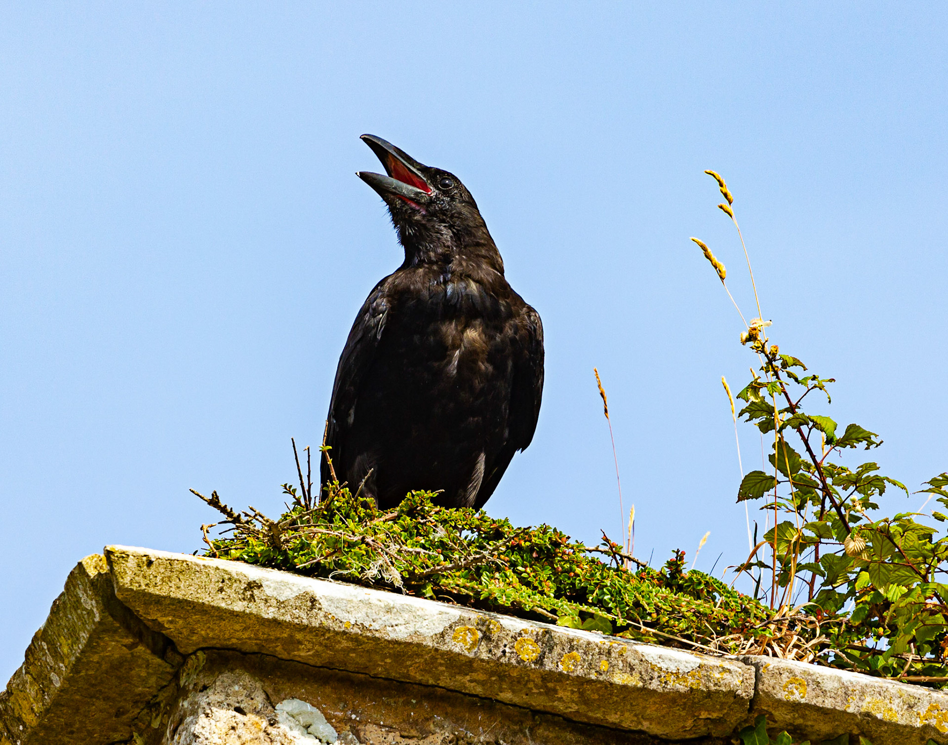 Old St Helen's Church Duver IOW 16 July 2022