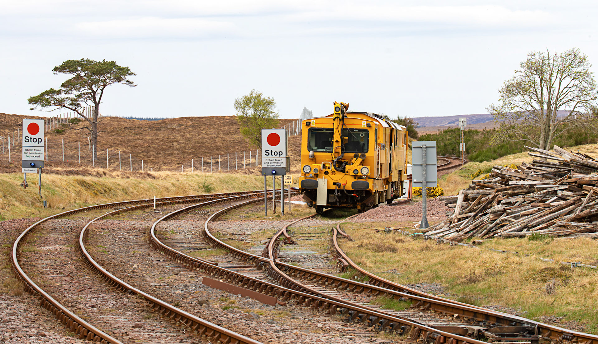 Forsinard 01 May 2026