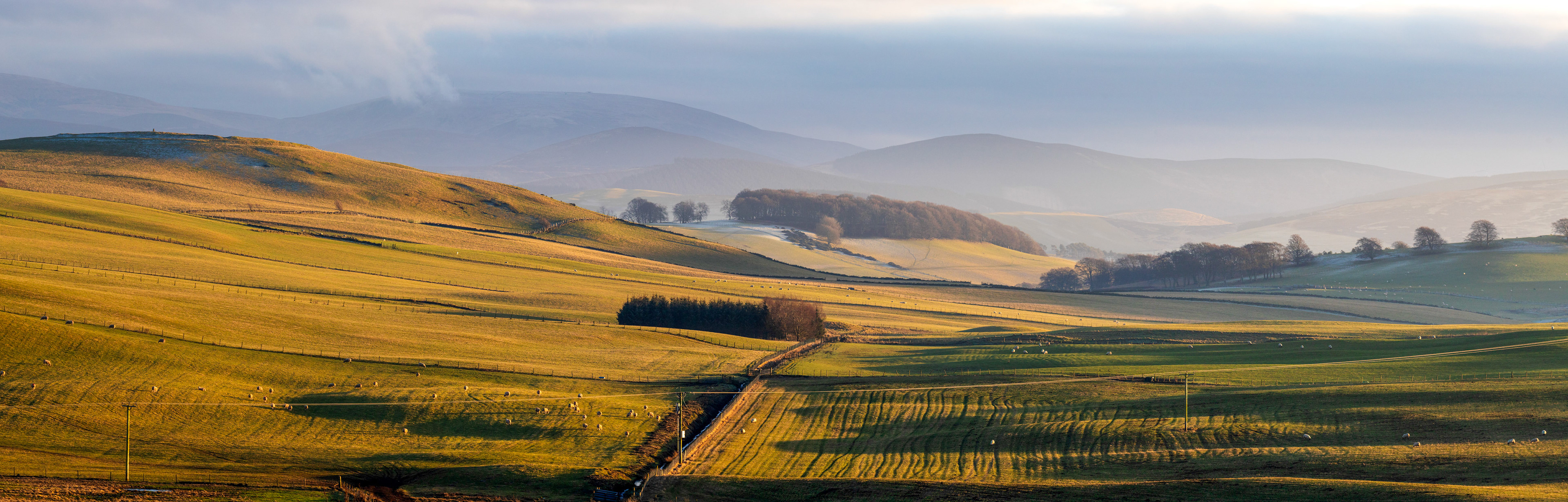 View near Elsrickle 22 January 2025