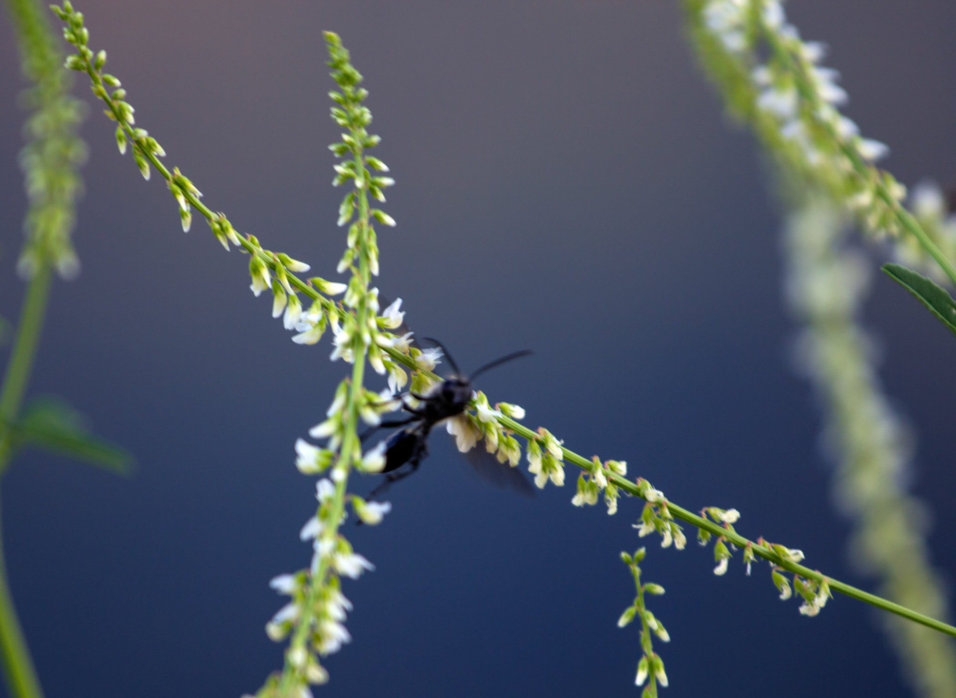 MulhousePlease see my other Photographs at: http://www.jamespdeans.co.uk/