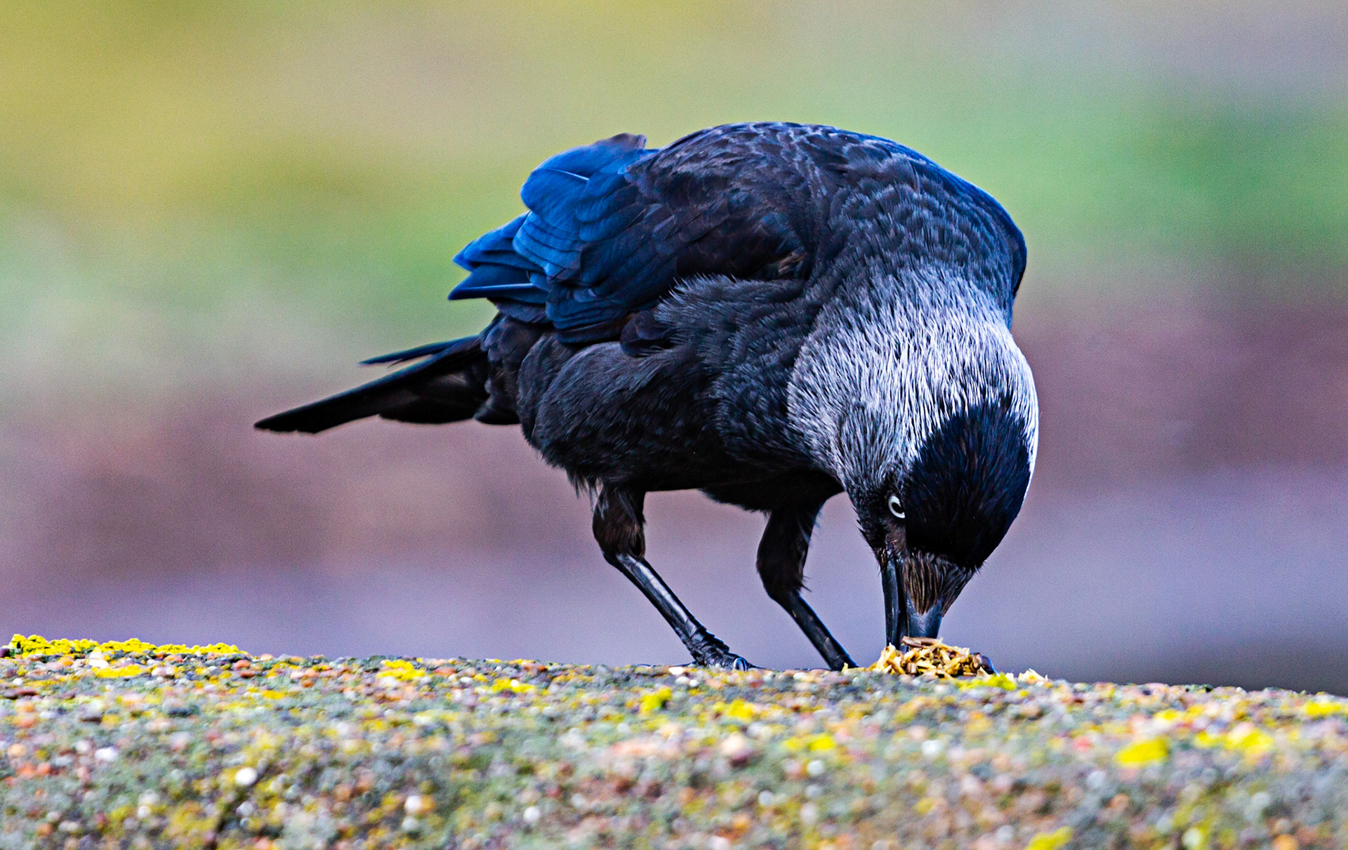 Portgordon Harbour Please see my other photos at JamesPDeans.co.uk