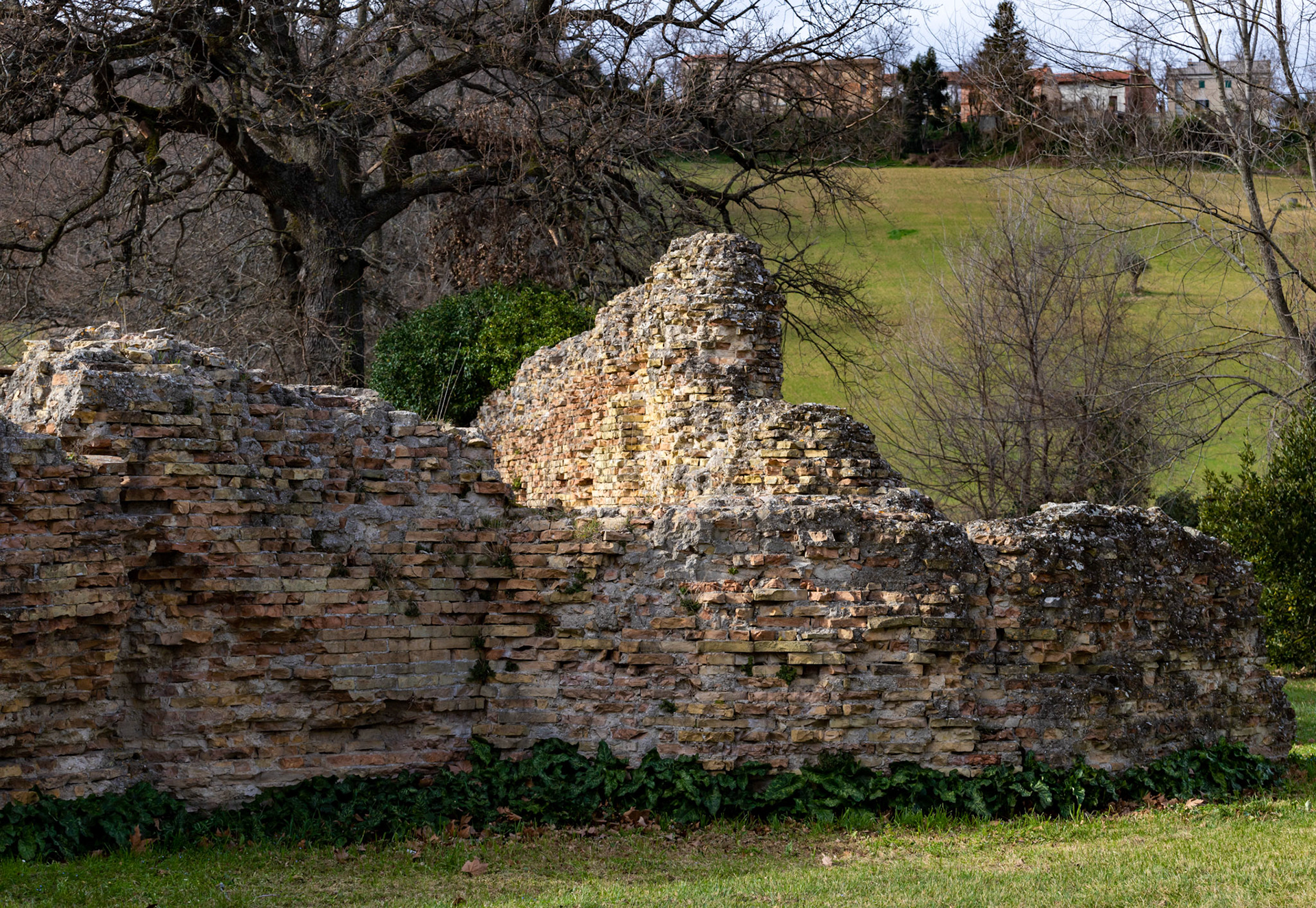 Urbs Salvia Roman Town - Urbisaglia 01 February 2020