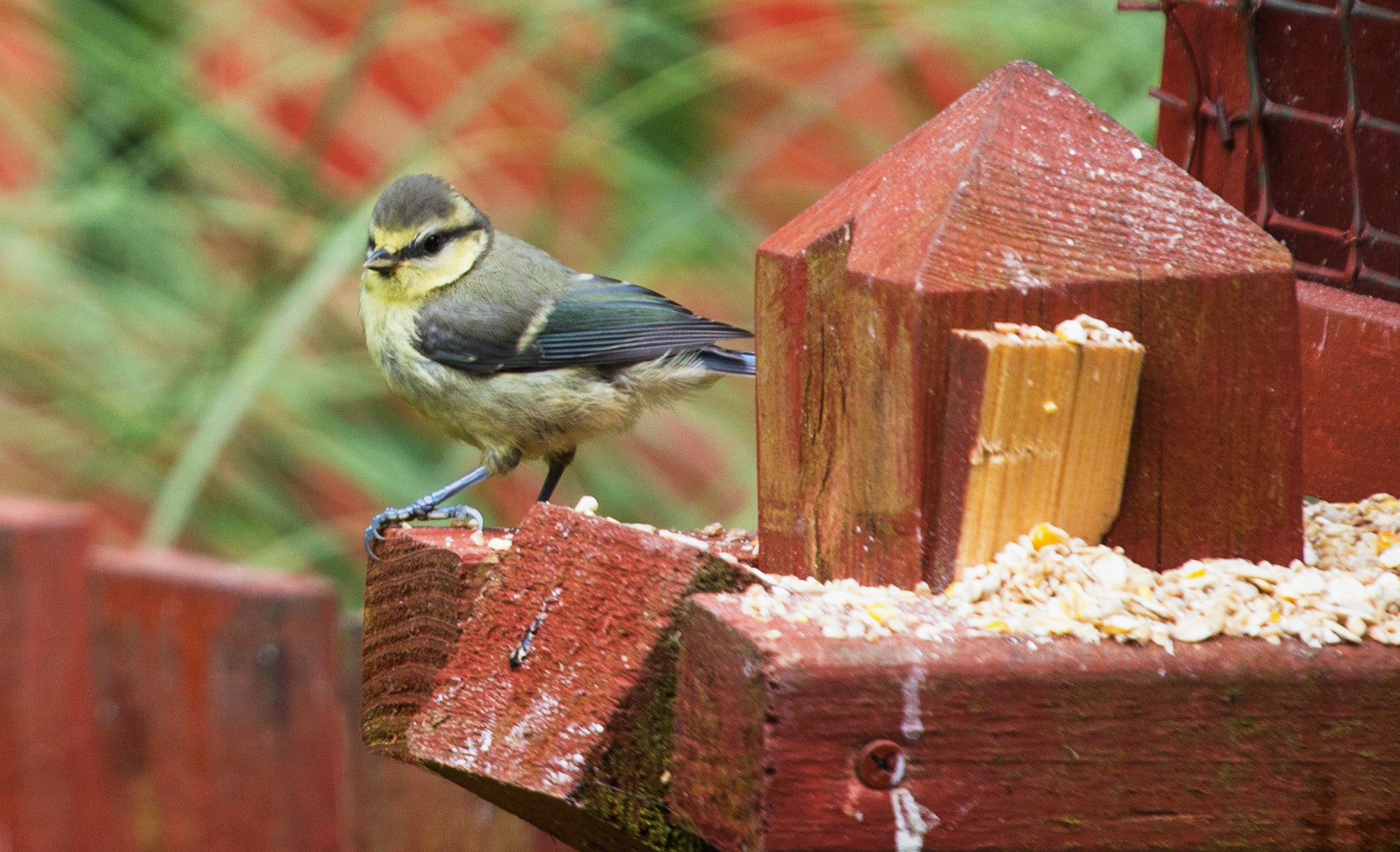 Deans, LivingstonPlease see my other Photographs at: http://www.jamespdeans.co.uk/