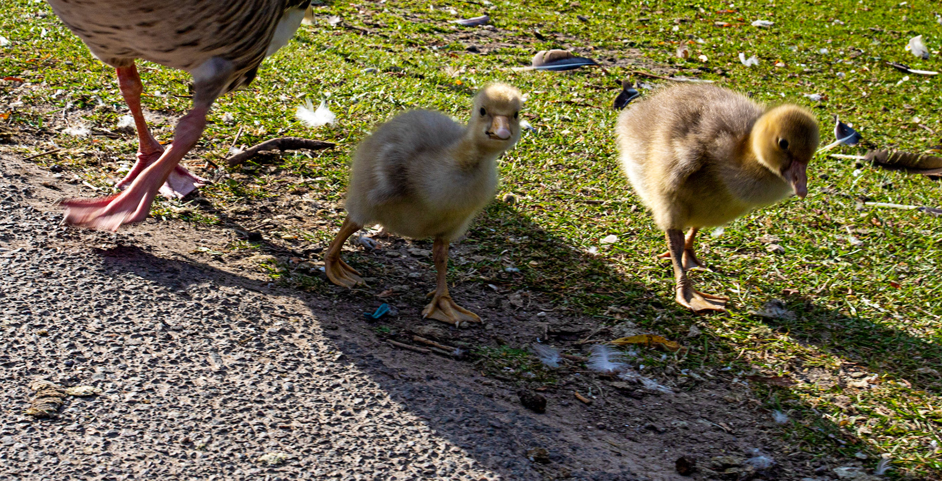 Reading 08 June 2024